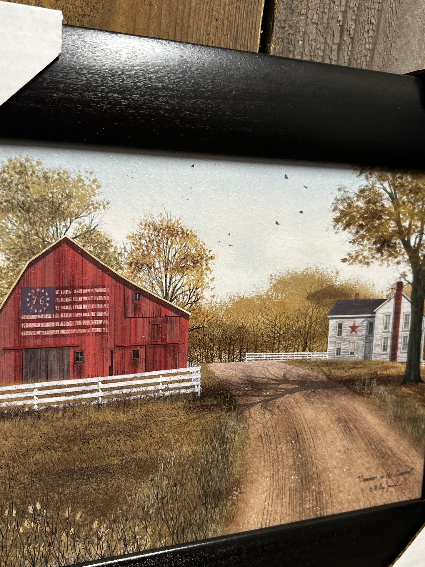 Framed Art, 8x10, SUMMER IN THE COUNTRY