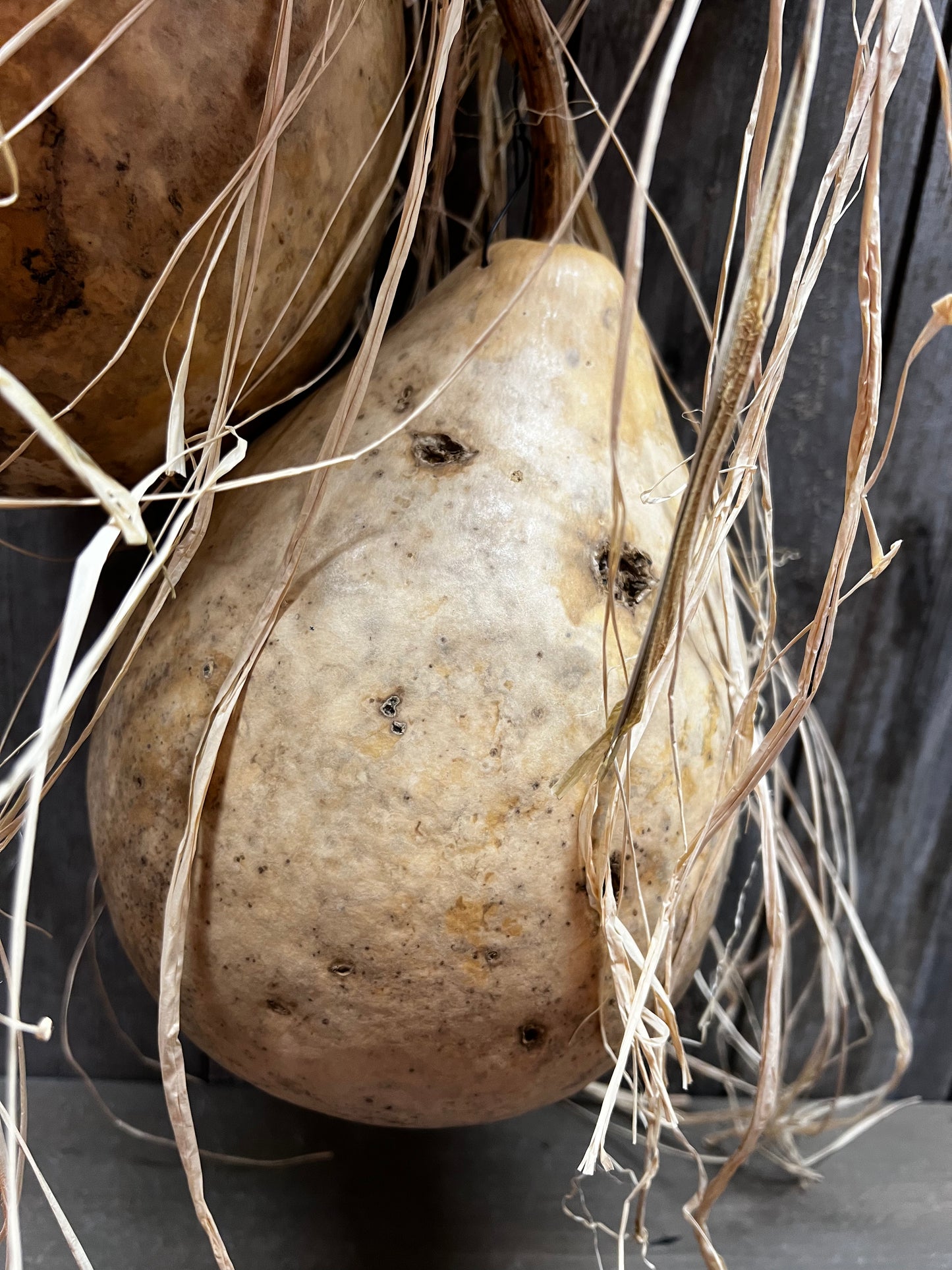 Gourd Bundle/5, 36", HANGING