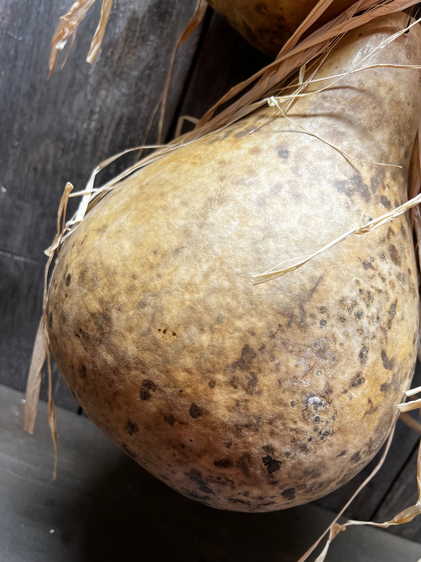 Gourd Bundle/5, 36", HANGING