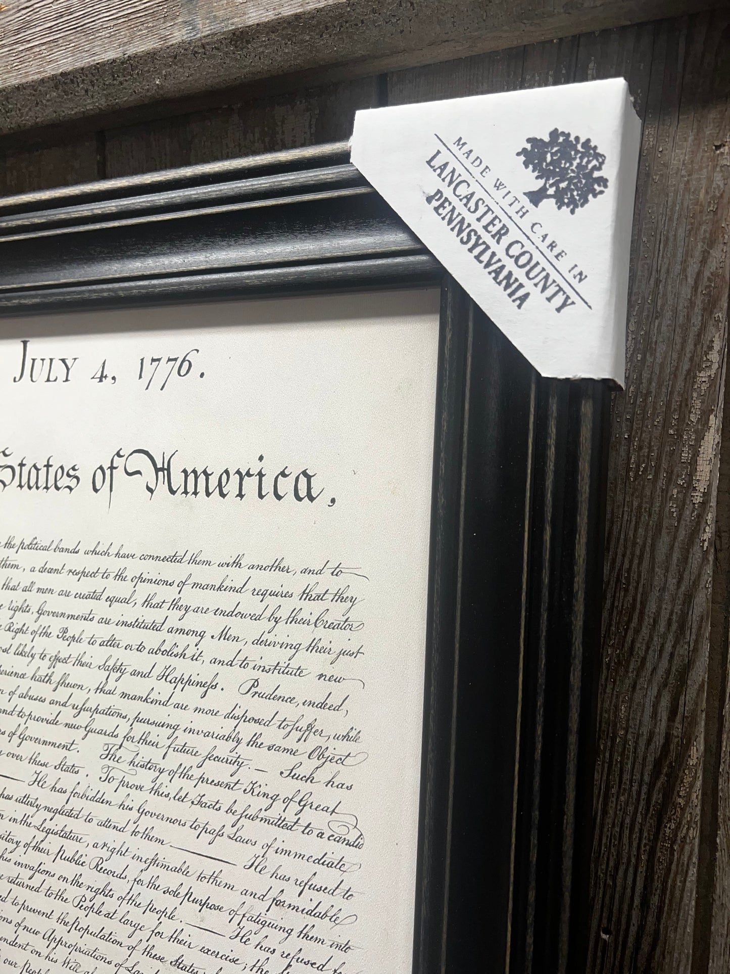 Framed Art, 20x24, DECLARATION ON INDEPENDENCE