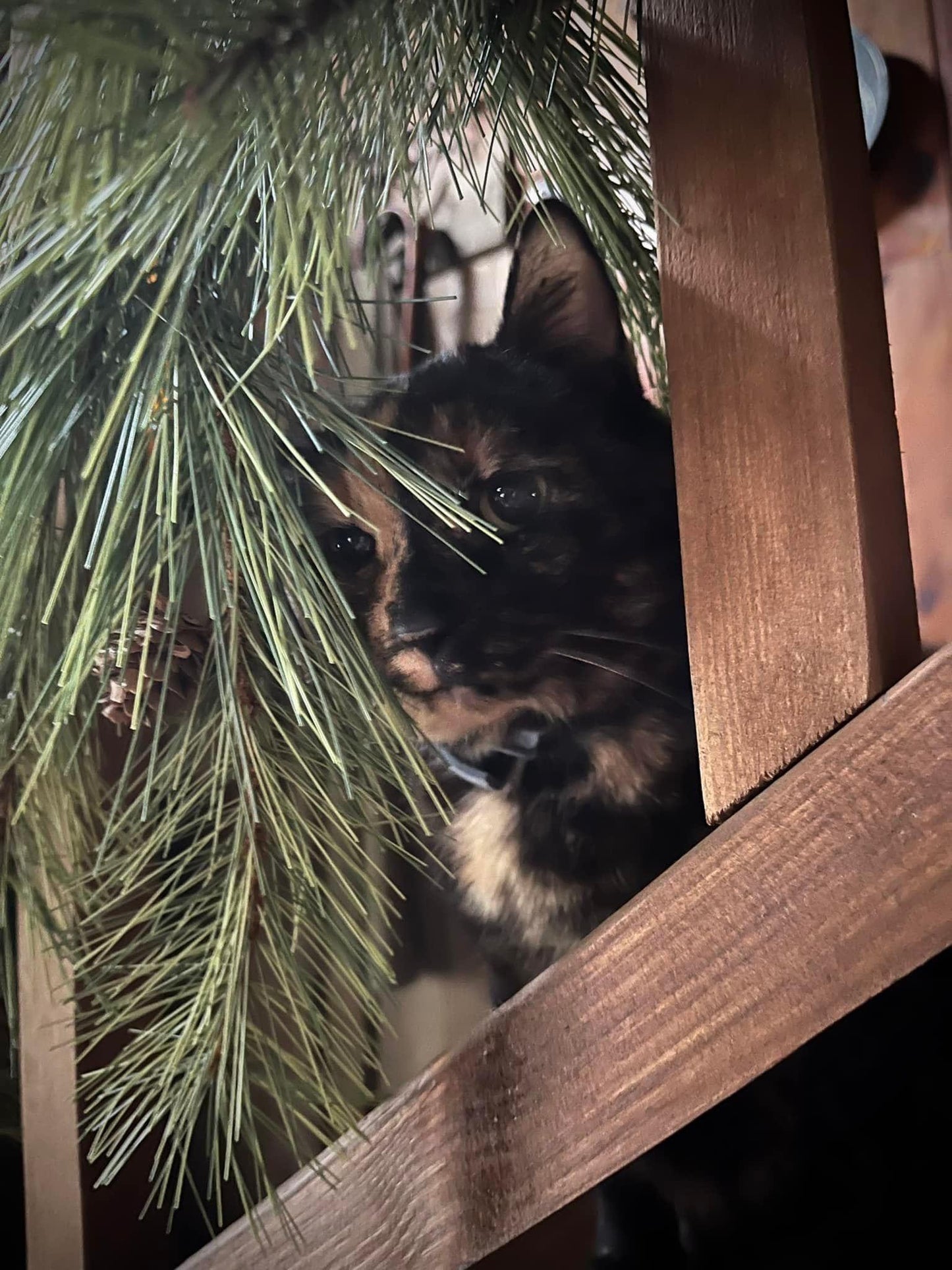 Garland, 9', SOFT PINE ROPE