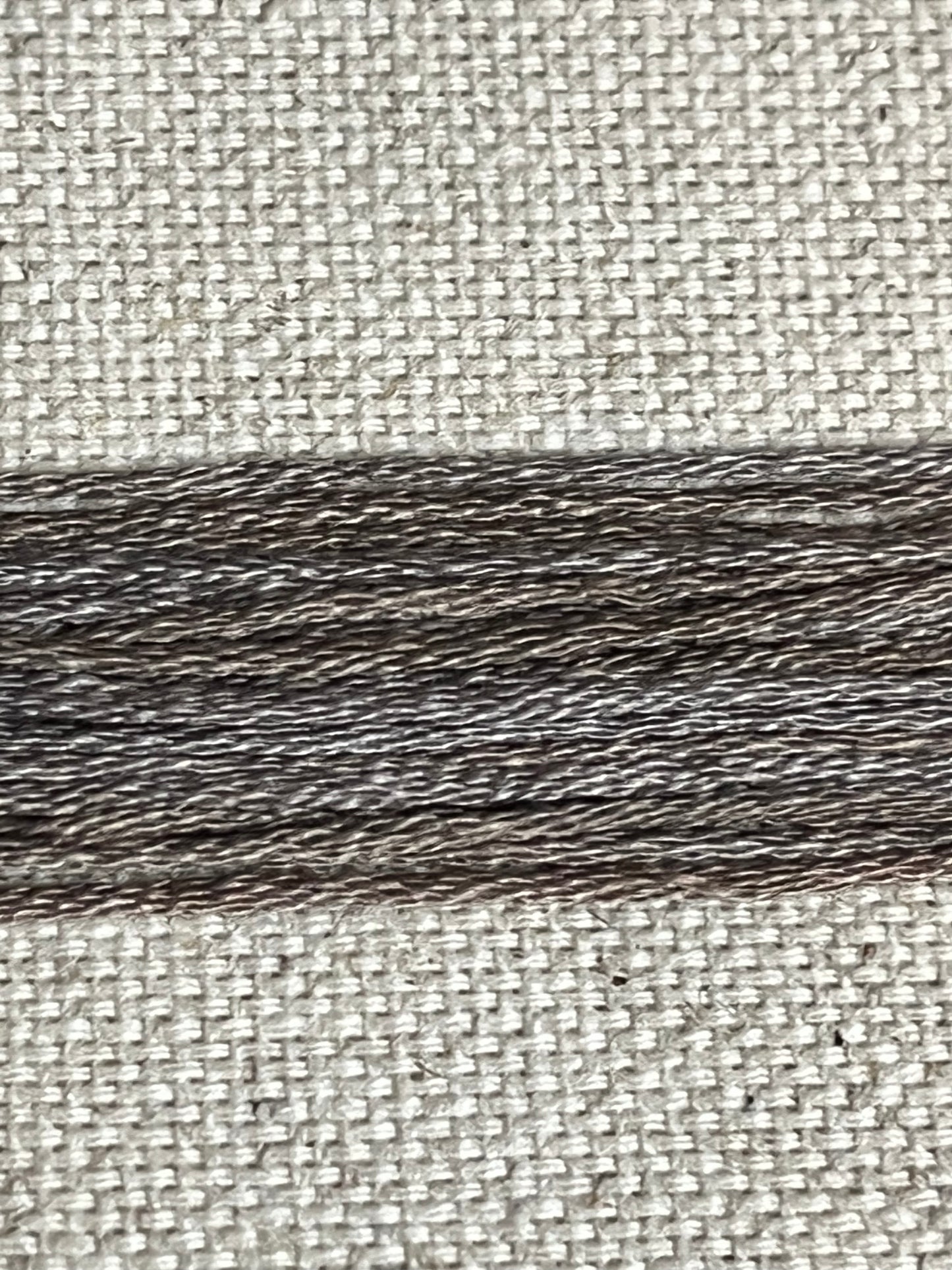 RIVER OTTER, 1290