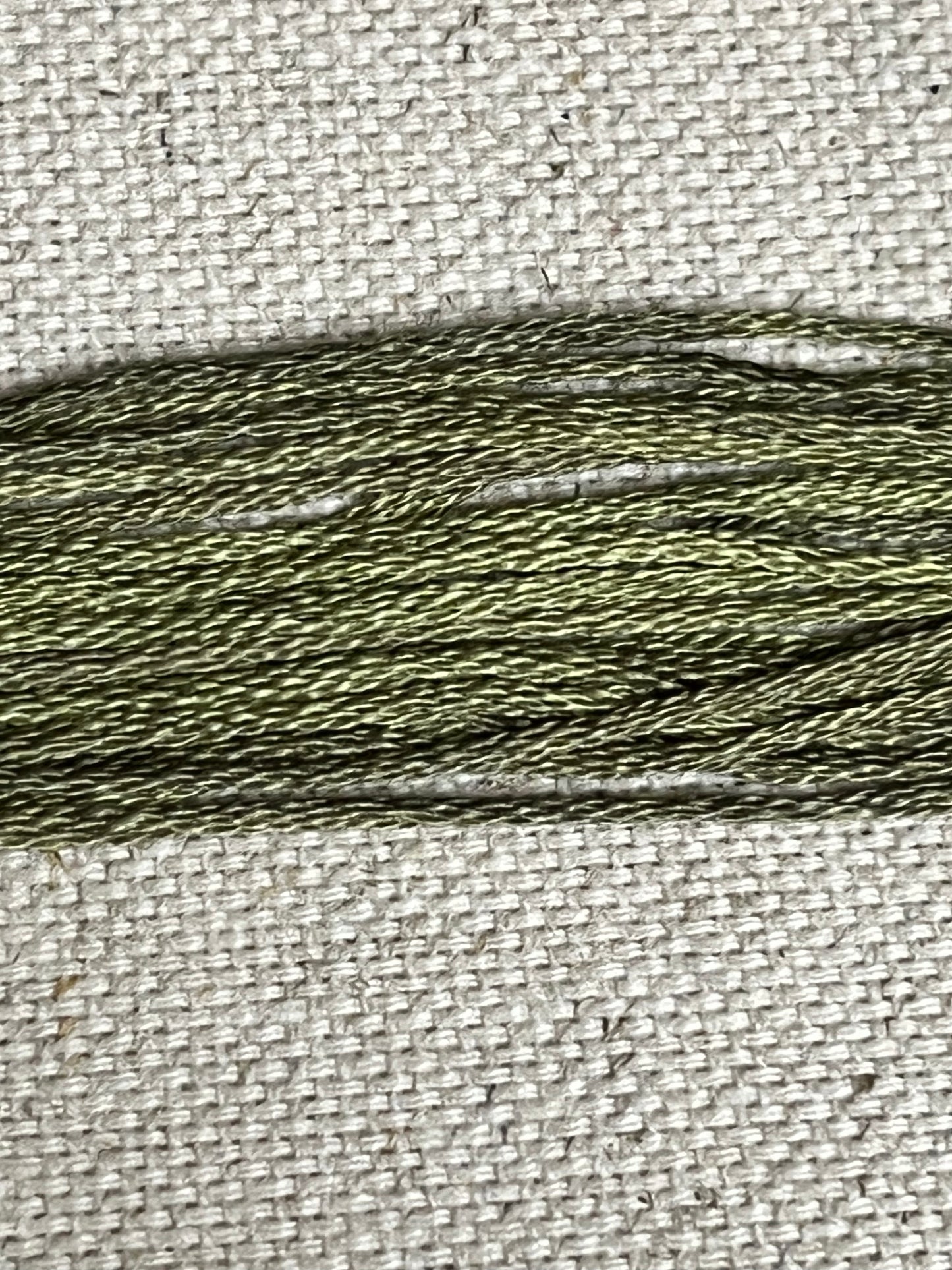 LILY PAD, 2194