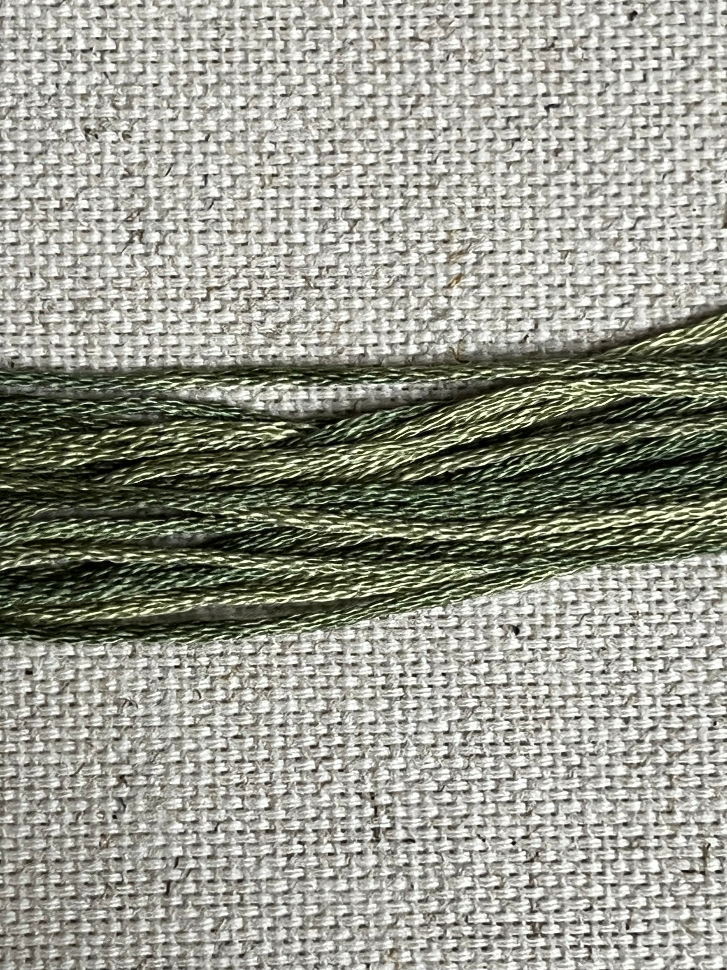 GRASSLAND, 2195