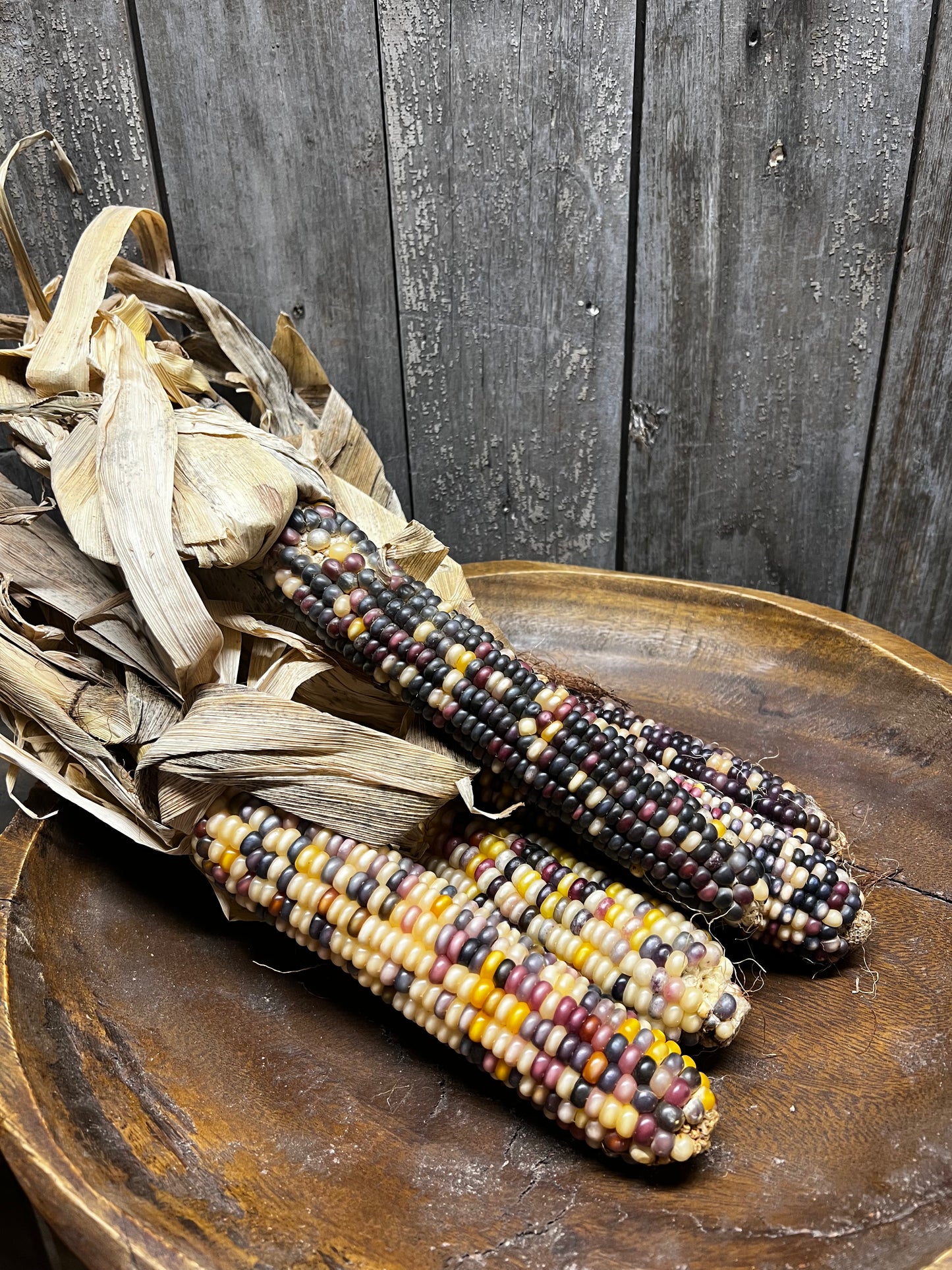 Bowl Filler, 5 Pack, LARGE INDIAN CORN