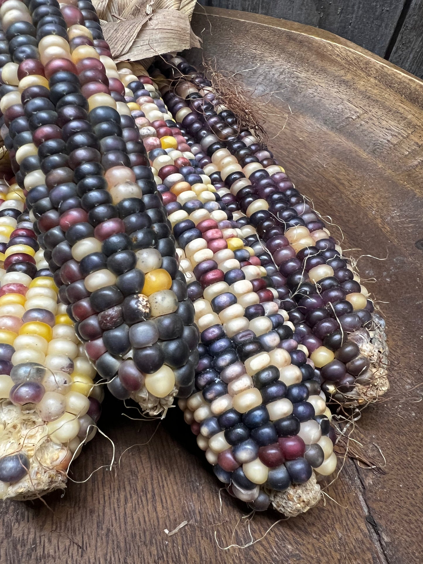 Bowl Filler, 5 Pack, LARGE INDIAN CORN