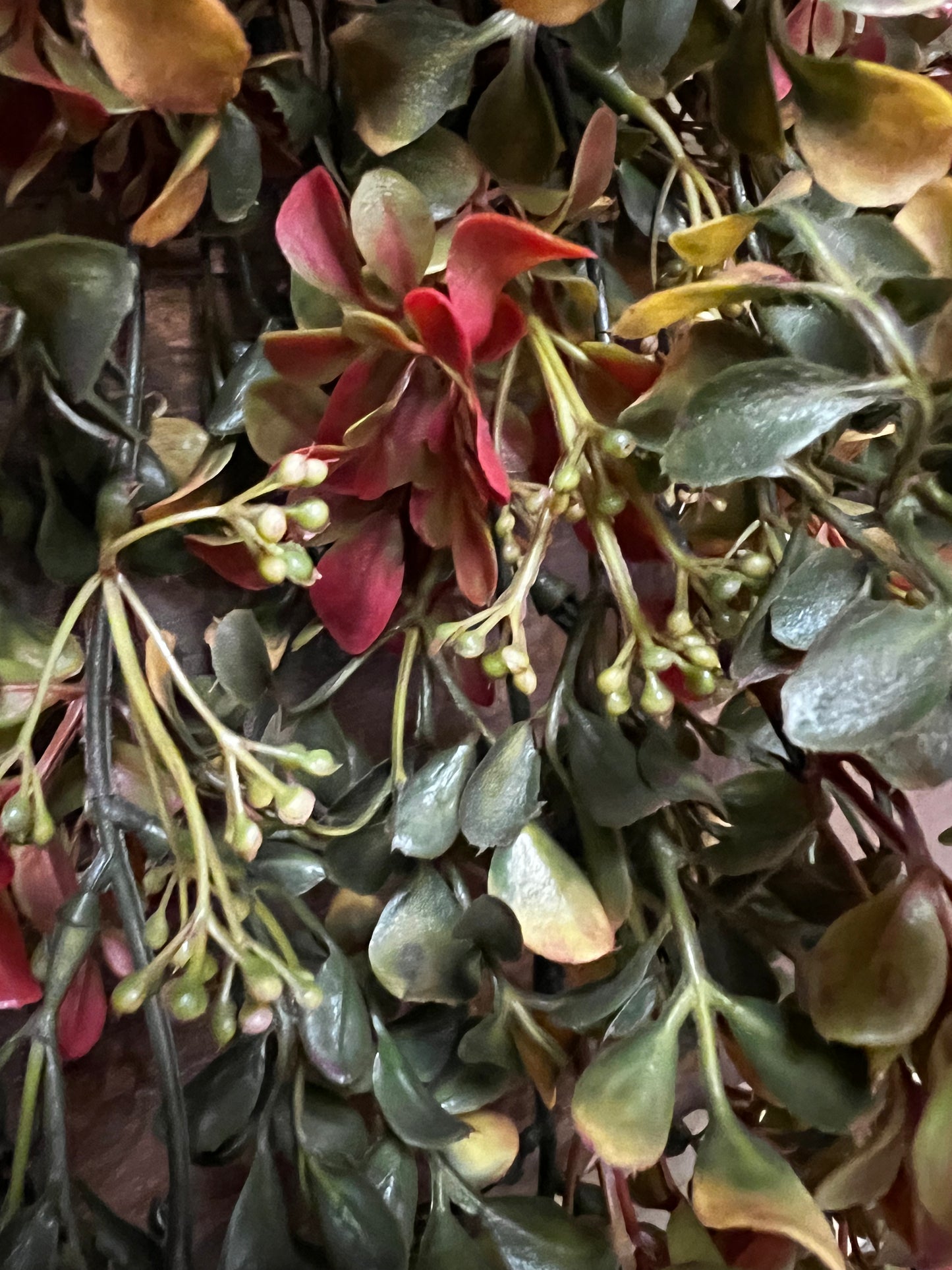 Hanging Bush, 32”, PERFUME TREE LEAF