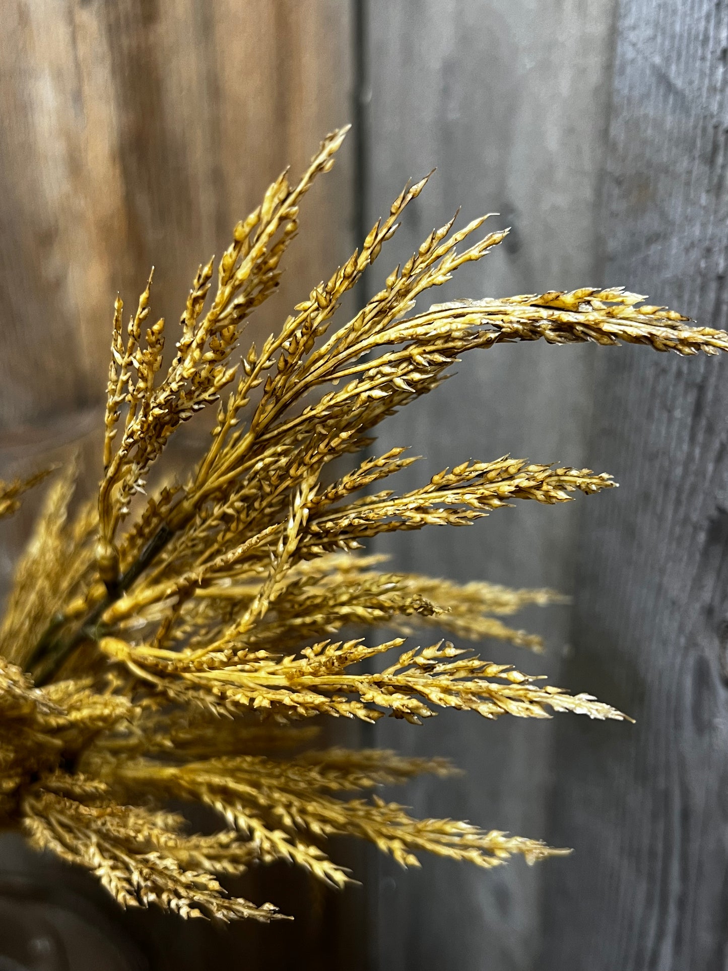 Spray, 28", GOLDEN WHEAT