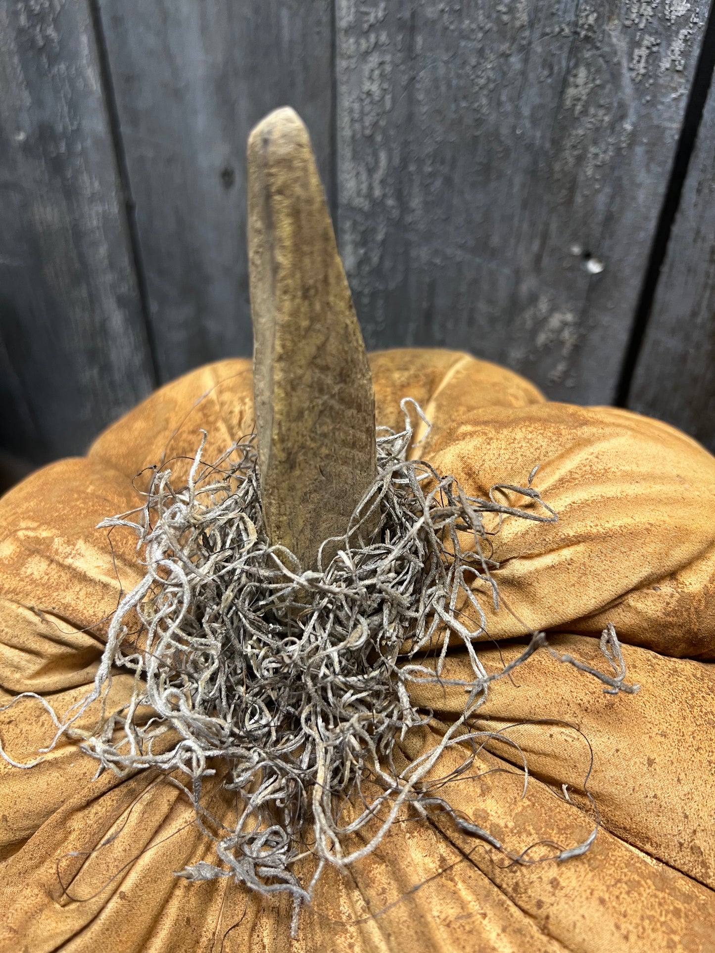 Jumbo Pumpkin, 10", GRUNGY W/ MOSS