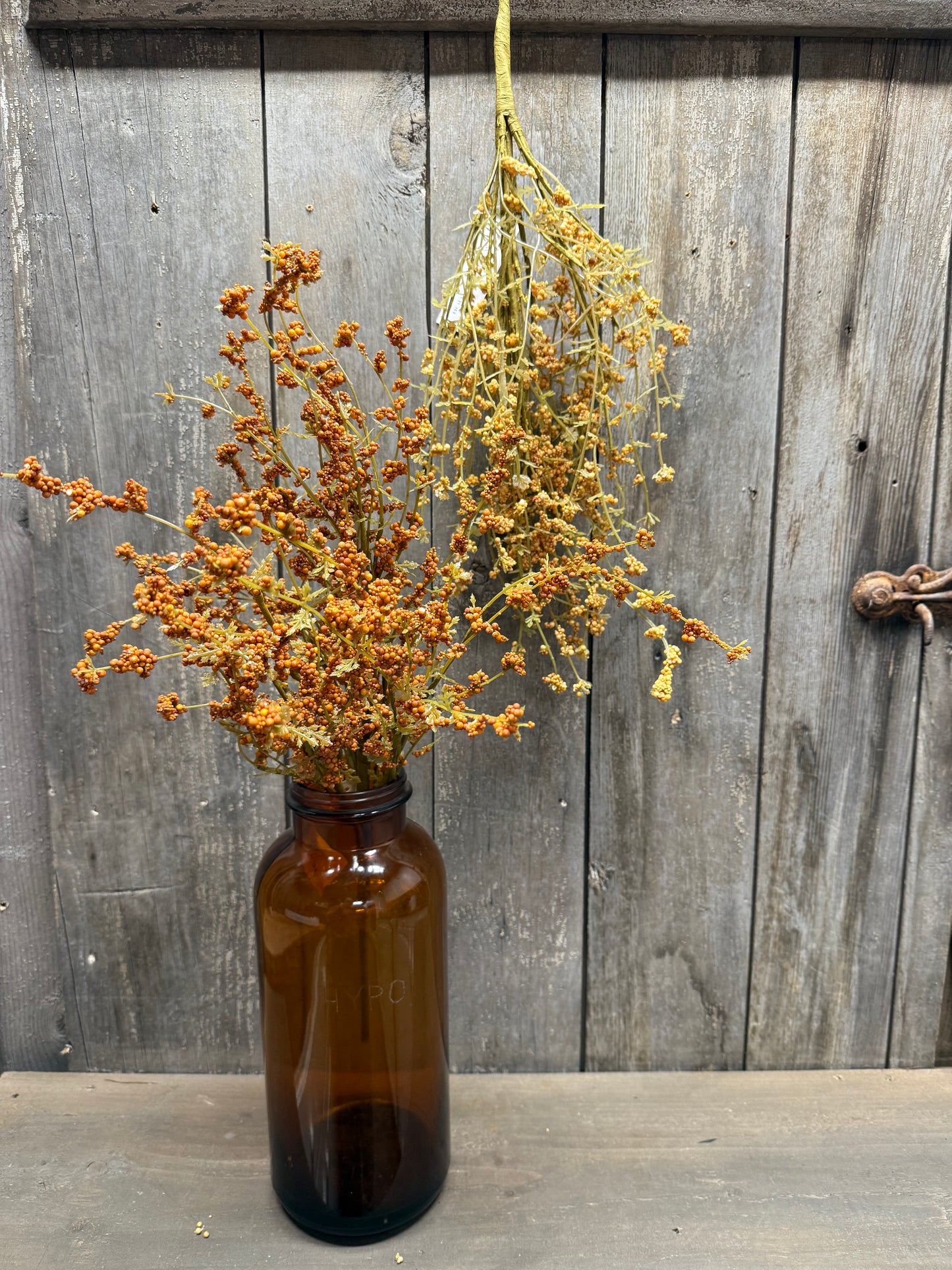 Bush, 22", HAIRY PINWEED, GOLD or RUST