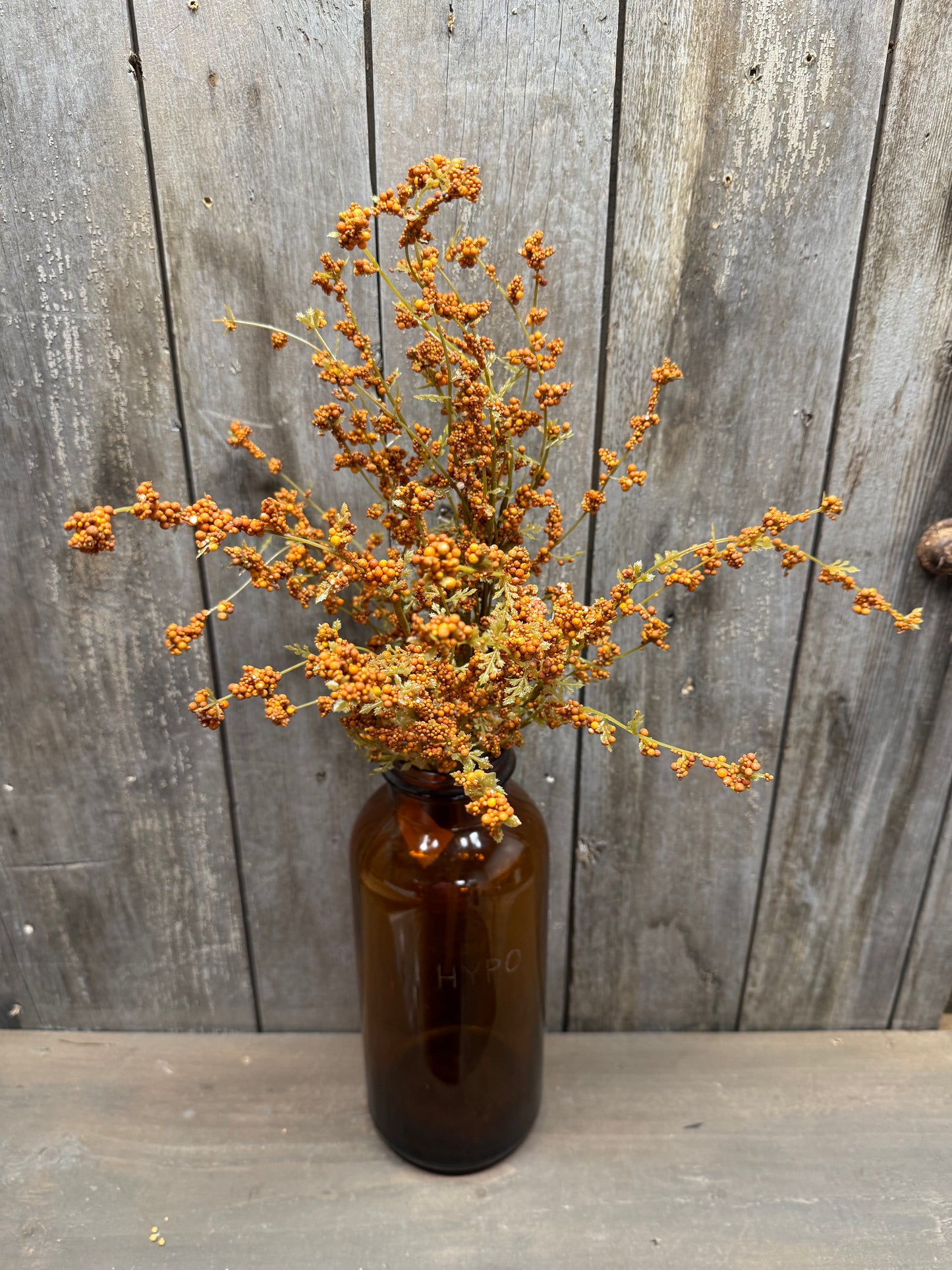Bush, 22", HAIRY PINWEED, GOLD or RUST