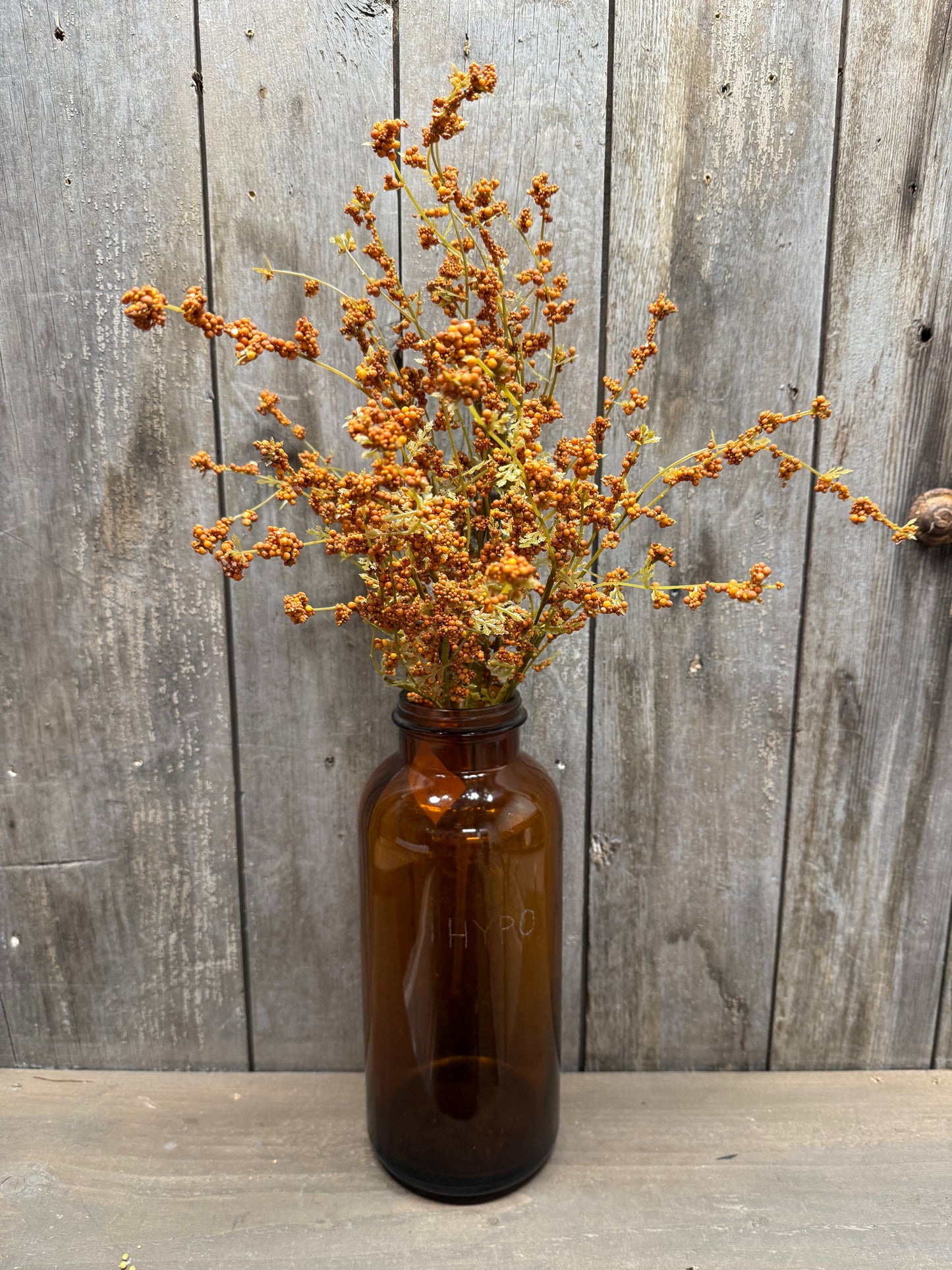 Bush, 22", HAIRY PINWEED, GOLD or RUST