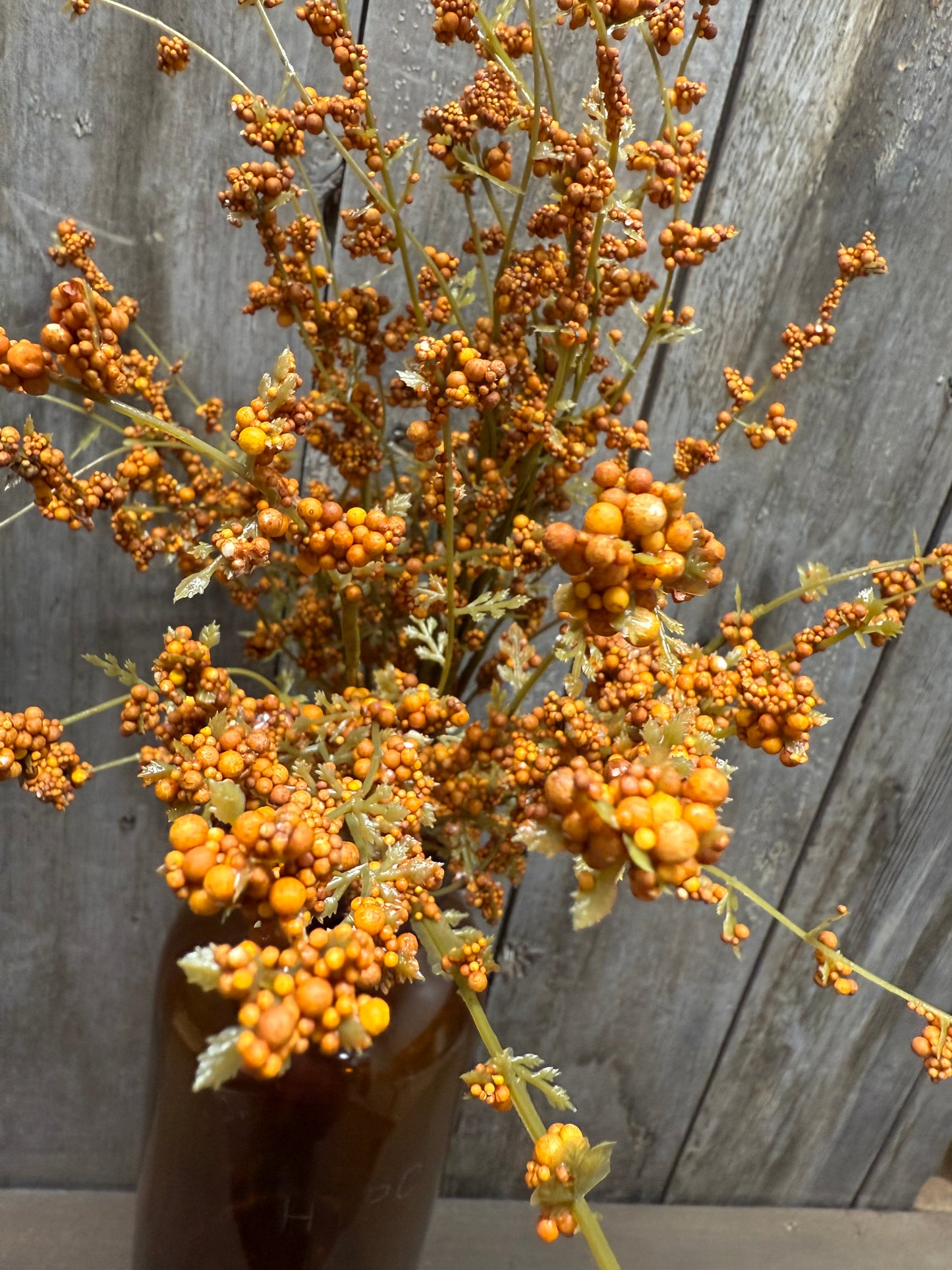 Bush, 22", HAIRY PINWEED, GOLD or RUST