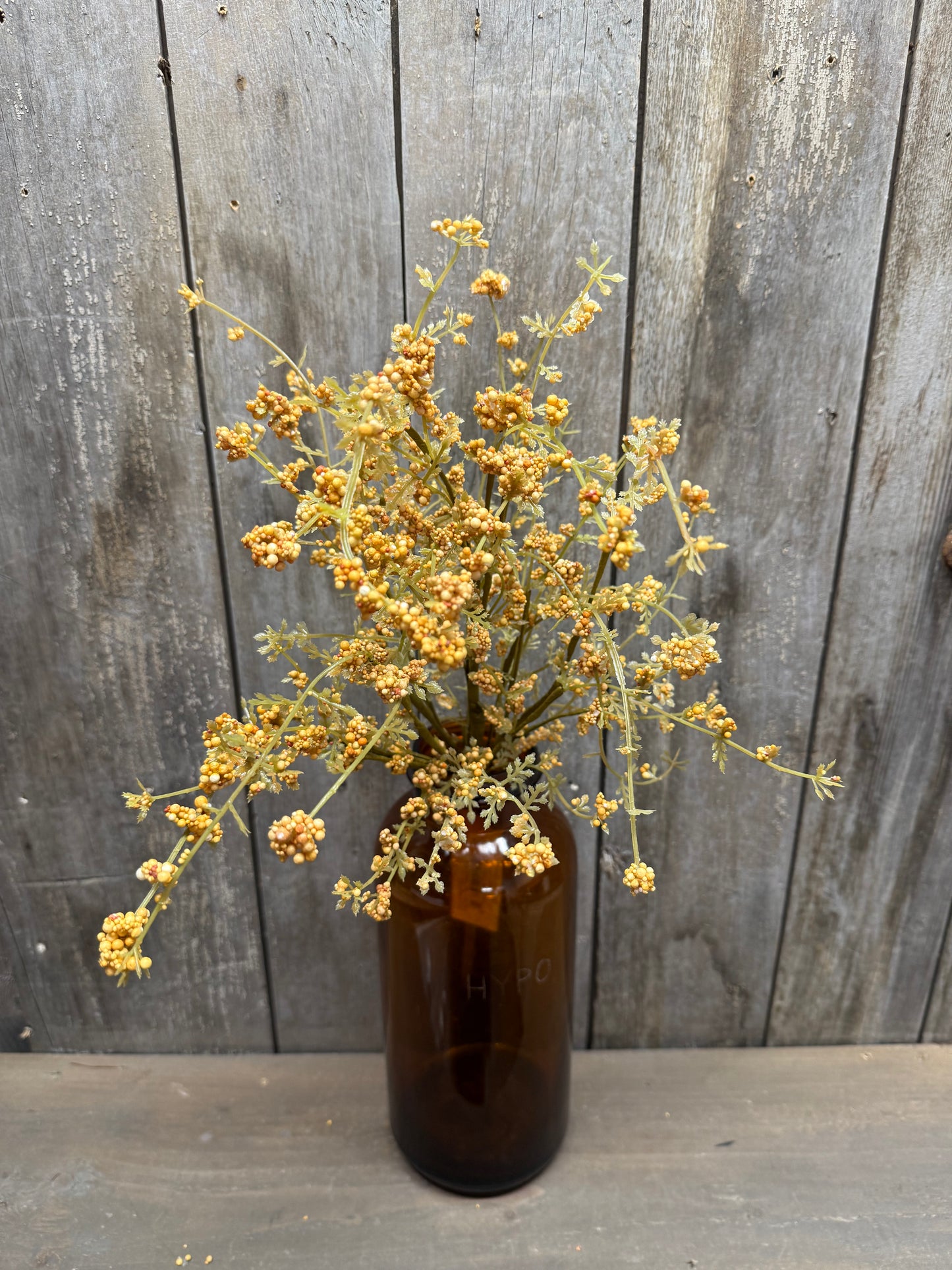 Bush, 22", HAIRY PINWEED, GOLD or RUST
