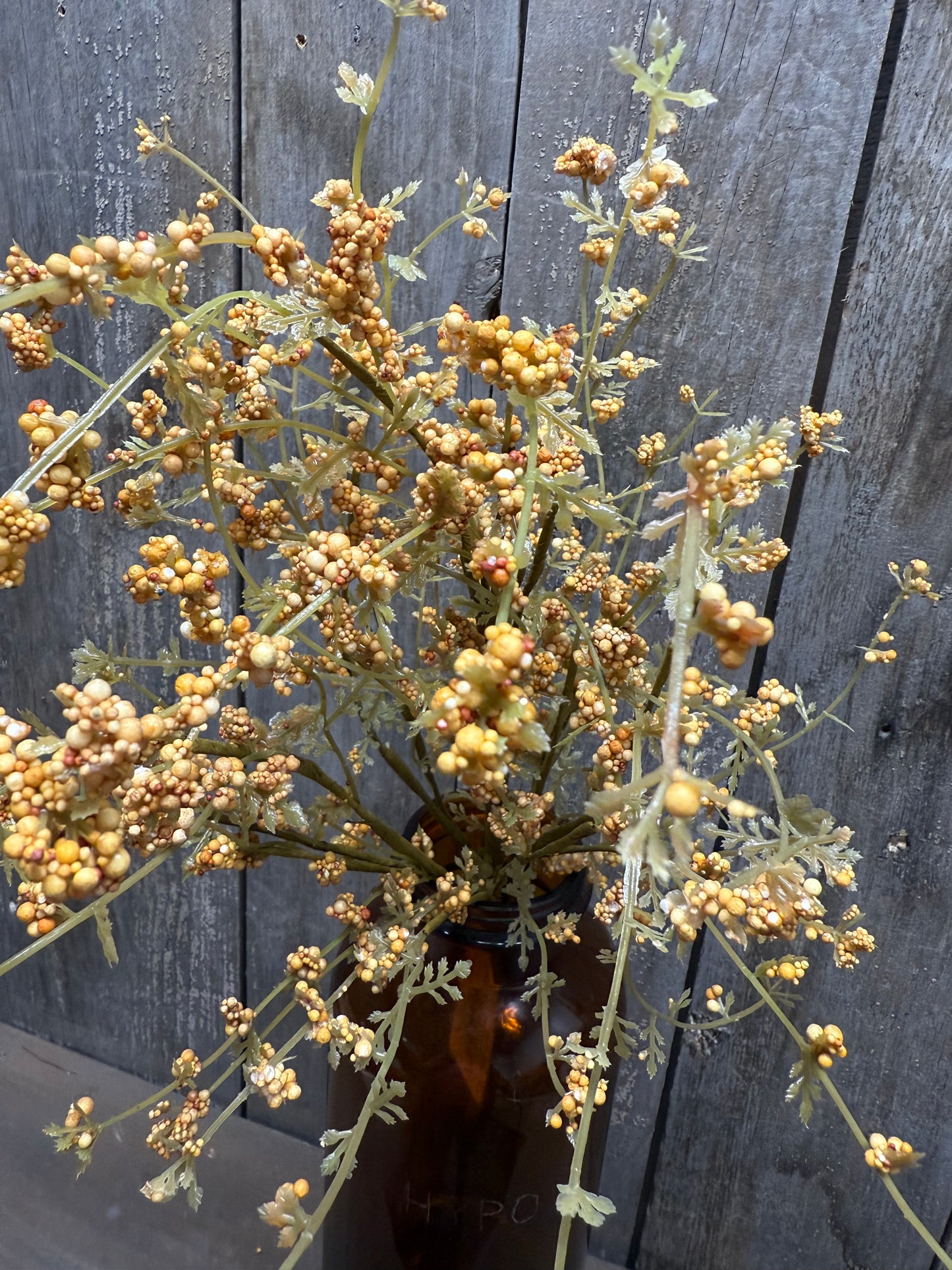 Bush, 22", HAIRY PINWEED, GOLD or RUST