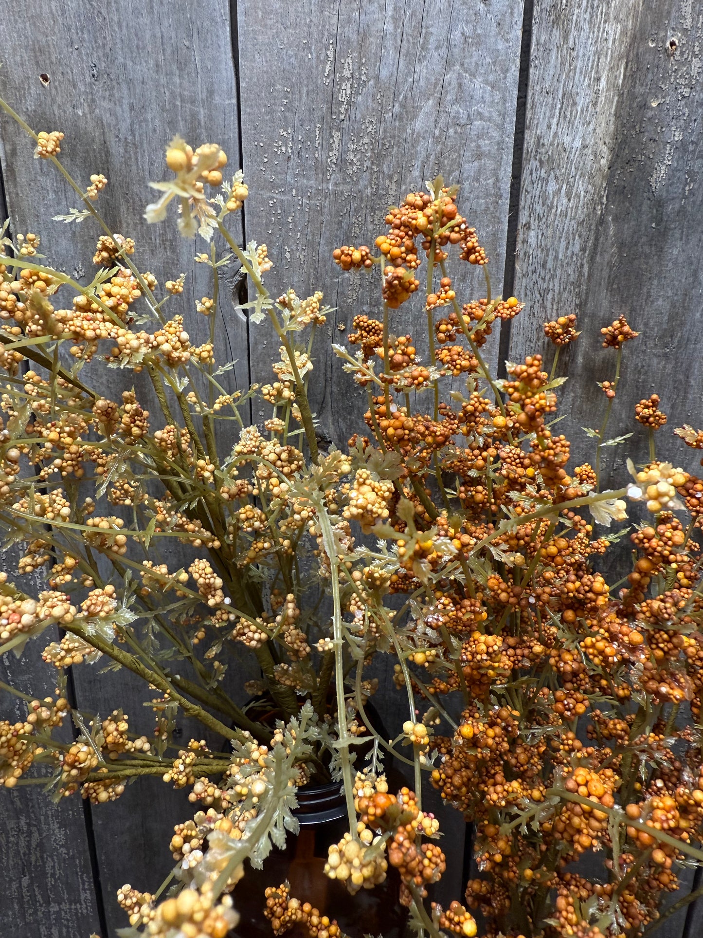 Bush, 22", HAIRY PINWEED, GOLD or RUST