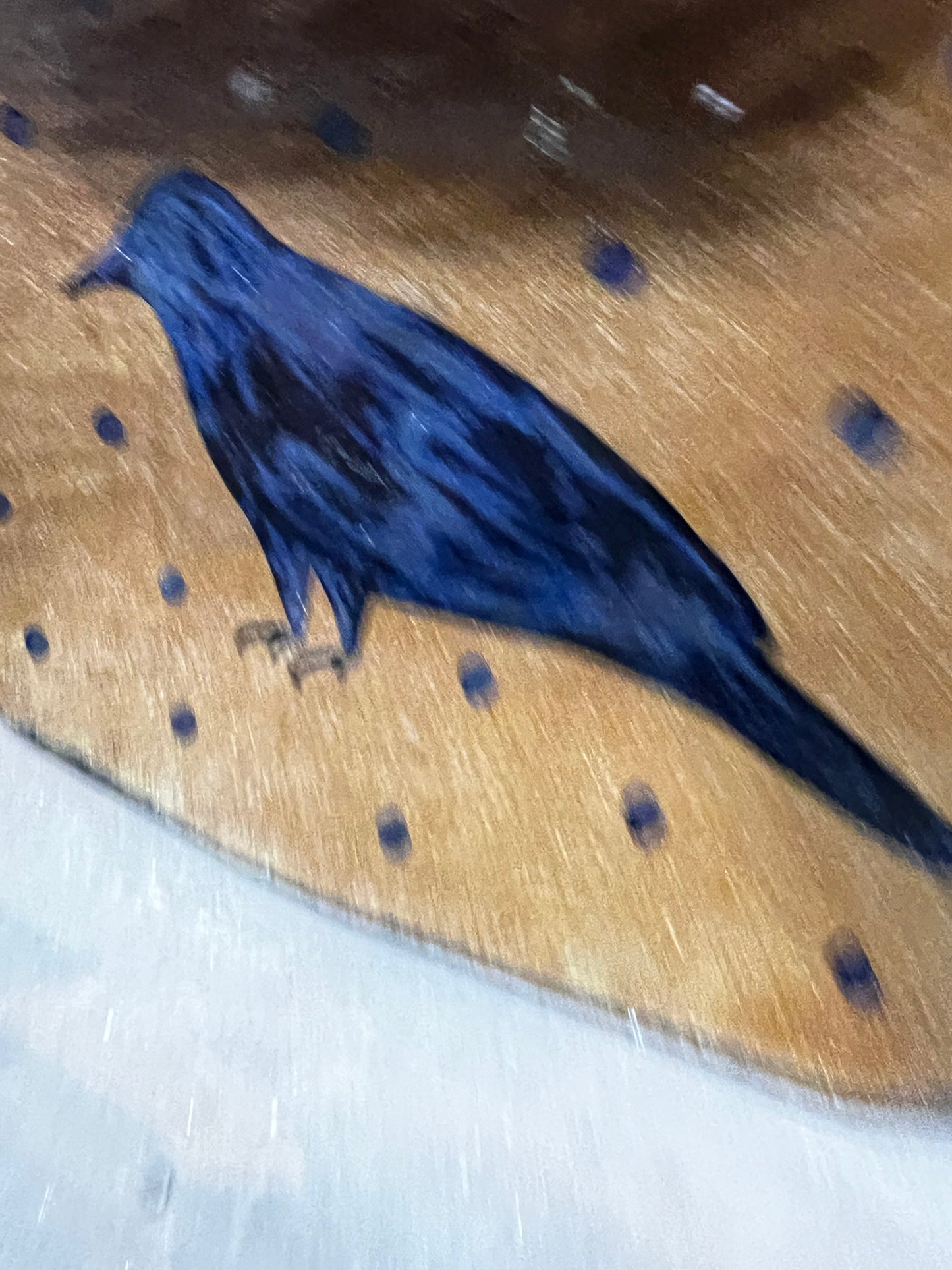 Drape Plate, Large Rectangle, CROW & DOTS