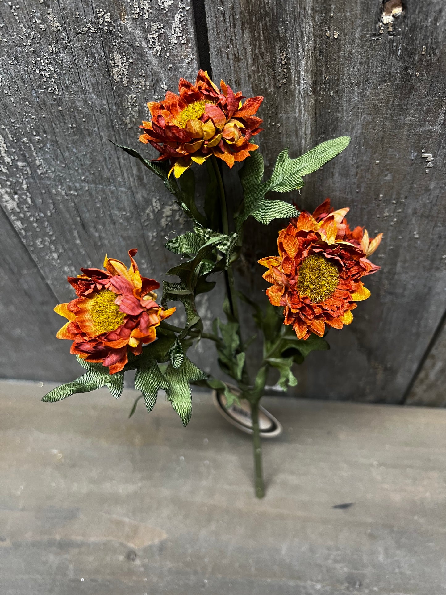 Pick, 11", Strawflower, BURNT ORANGE