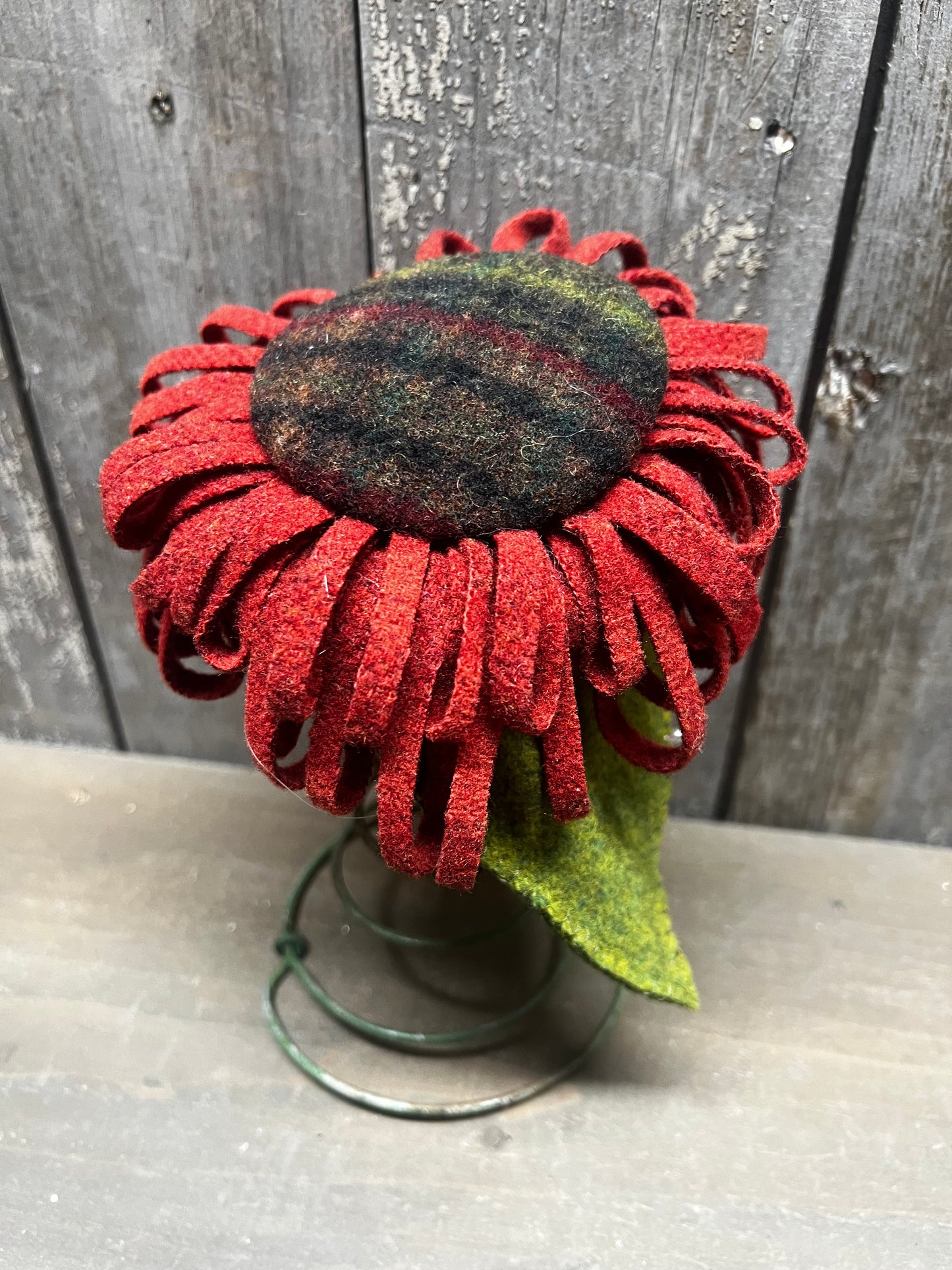 Wool Sunflower, 6" BEDSPRING