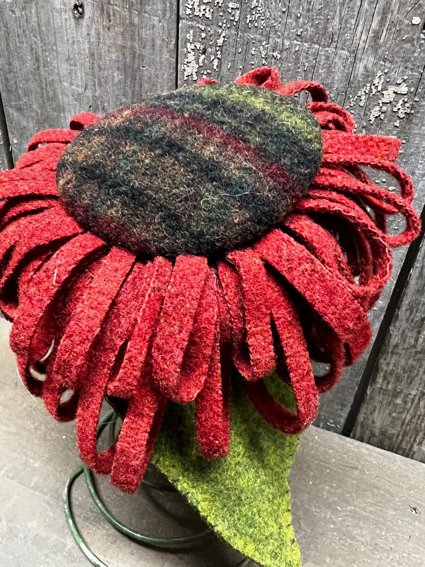 Wool Sunflower, 6" BEDSPRING