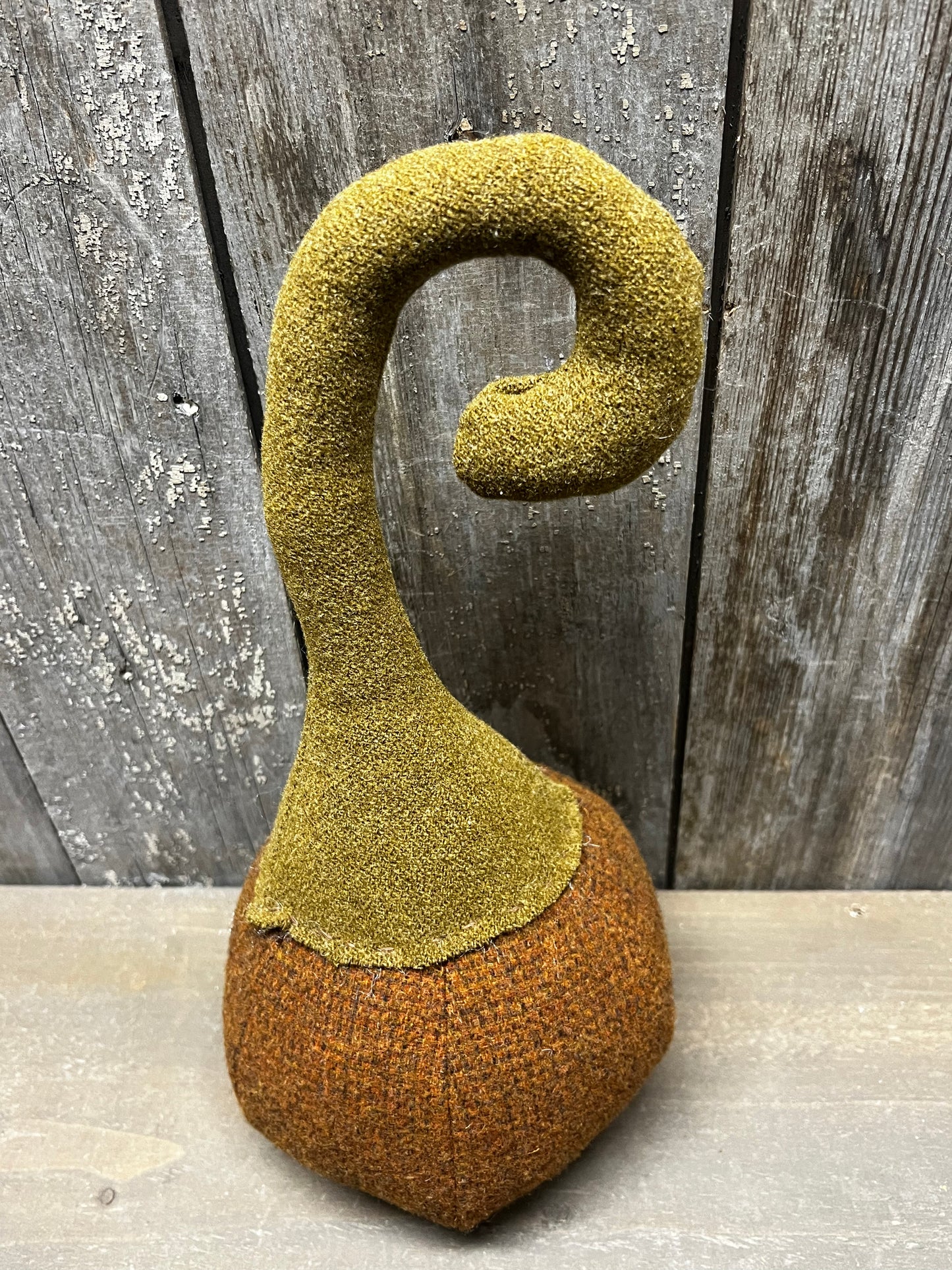 Wool Pumpkin, CURLY STEM
