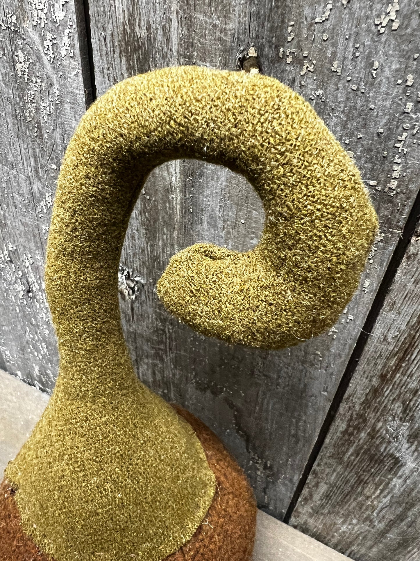 Wool Pumpkin, CURLY STEM