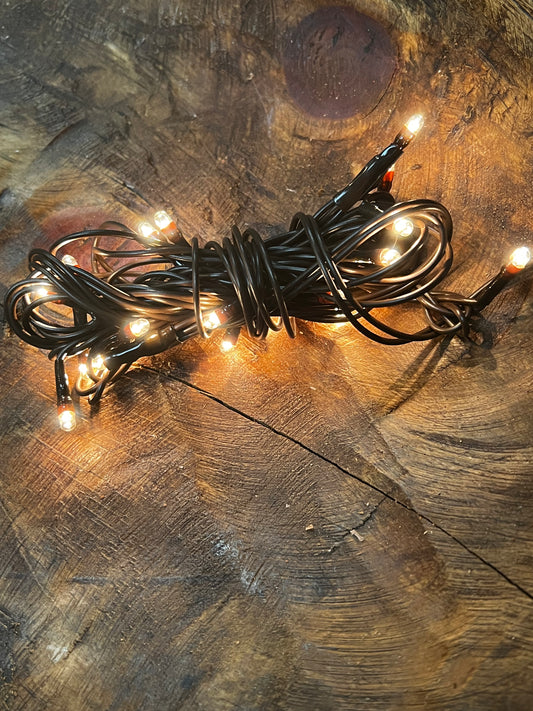Teeny Bulbs, Brown Wire, 20 Count, WARM WHITE