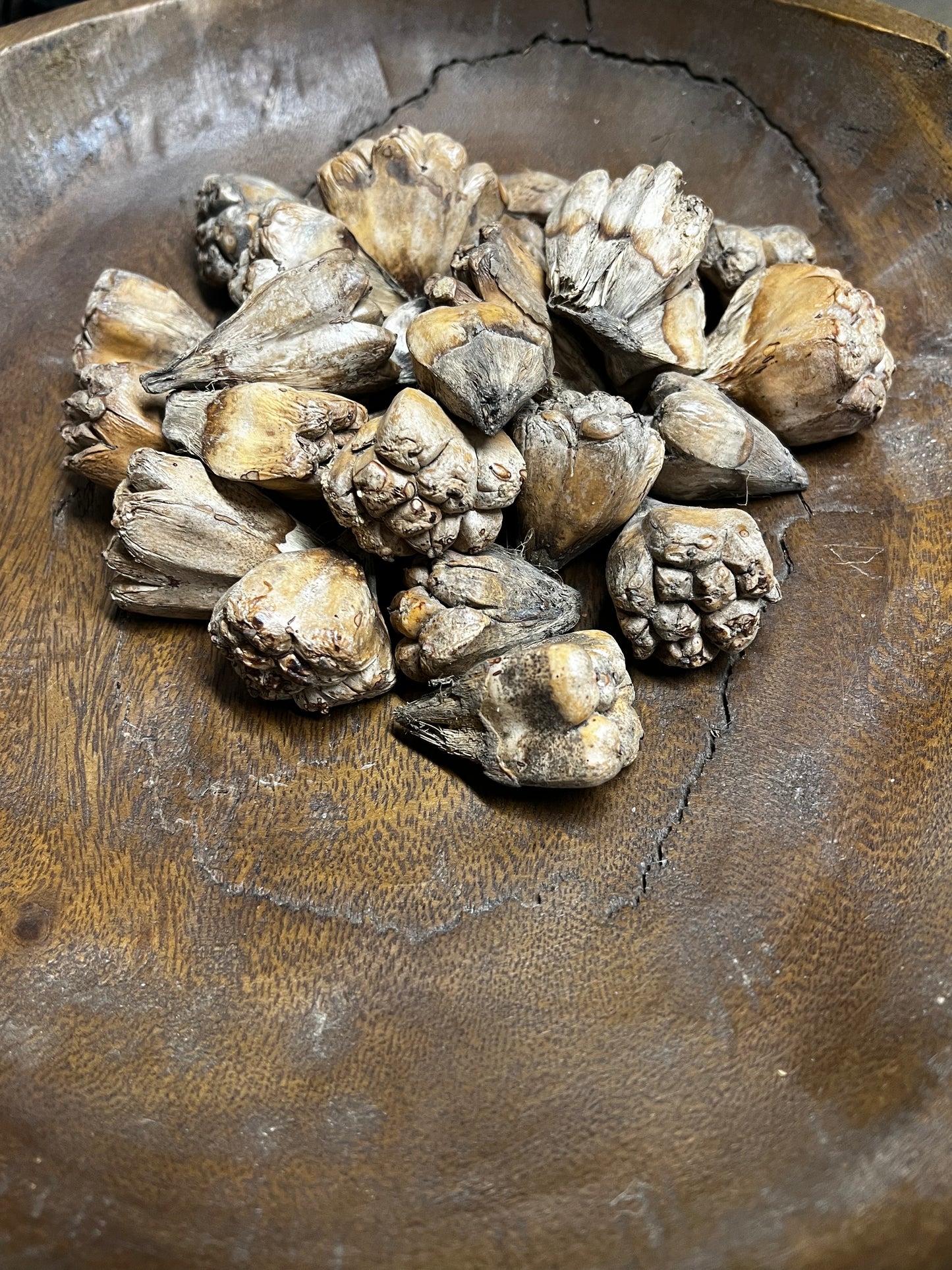 Camel Fruit, NATURAL, 8 Ounce
