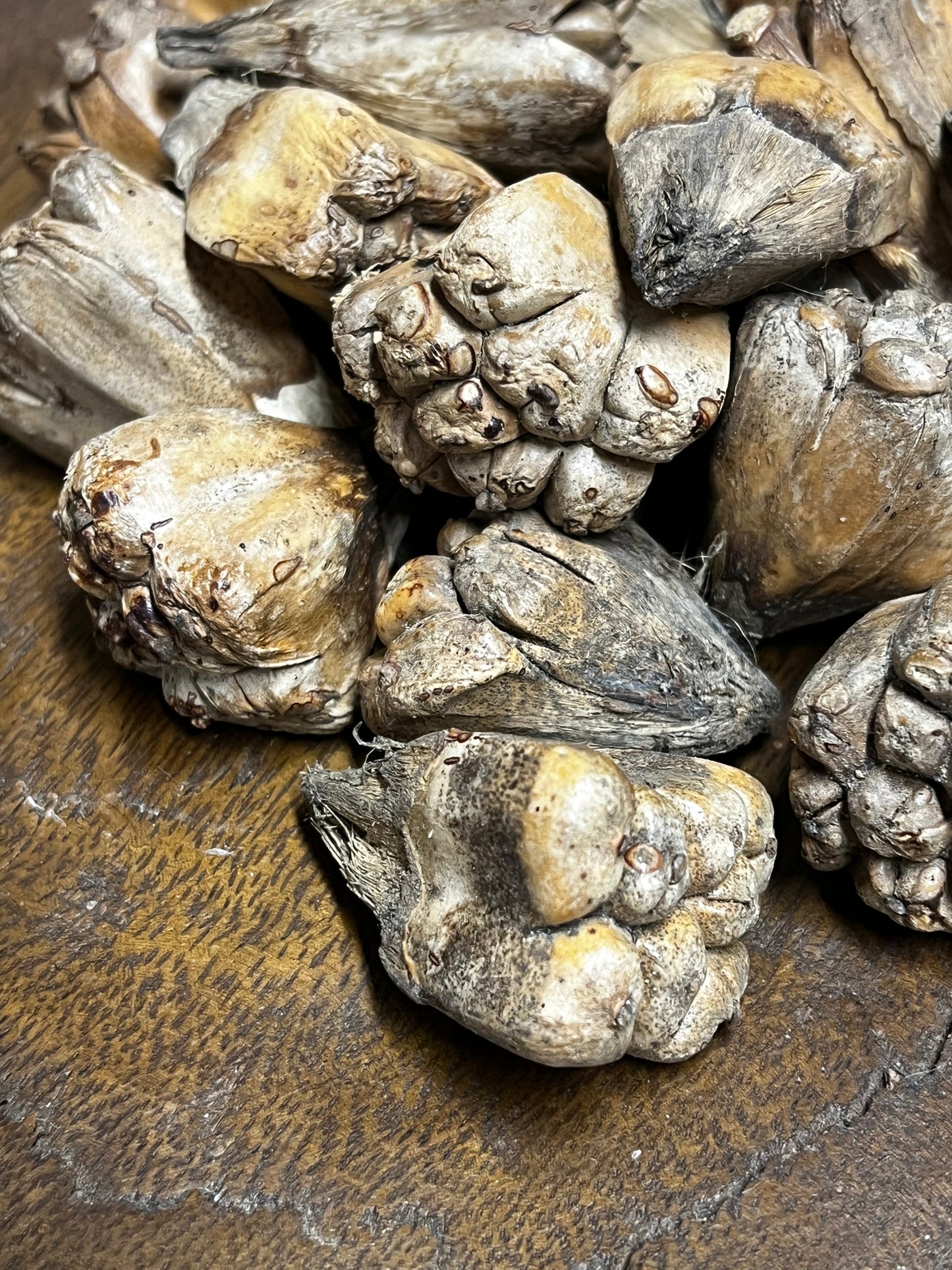 Camel Fruit, NATURAL, 8 Ounce