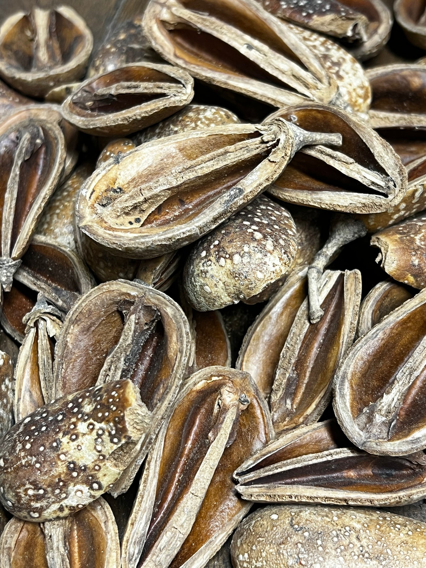 Pear Pod, NATURAL, 8 Ounce