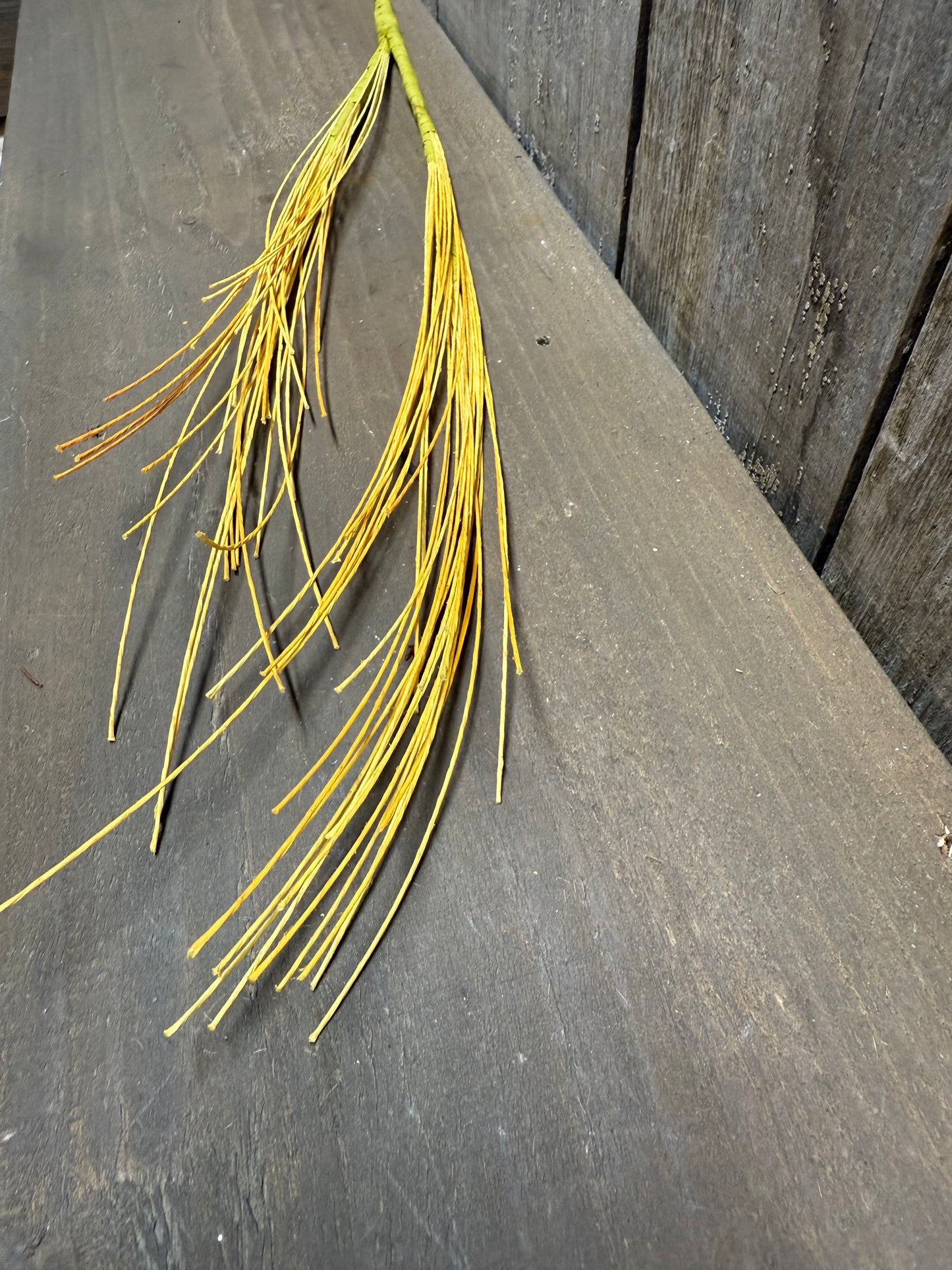 Stem, 22", DRY GRASS