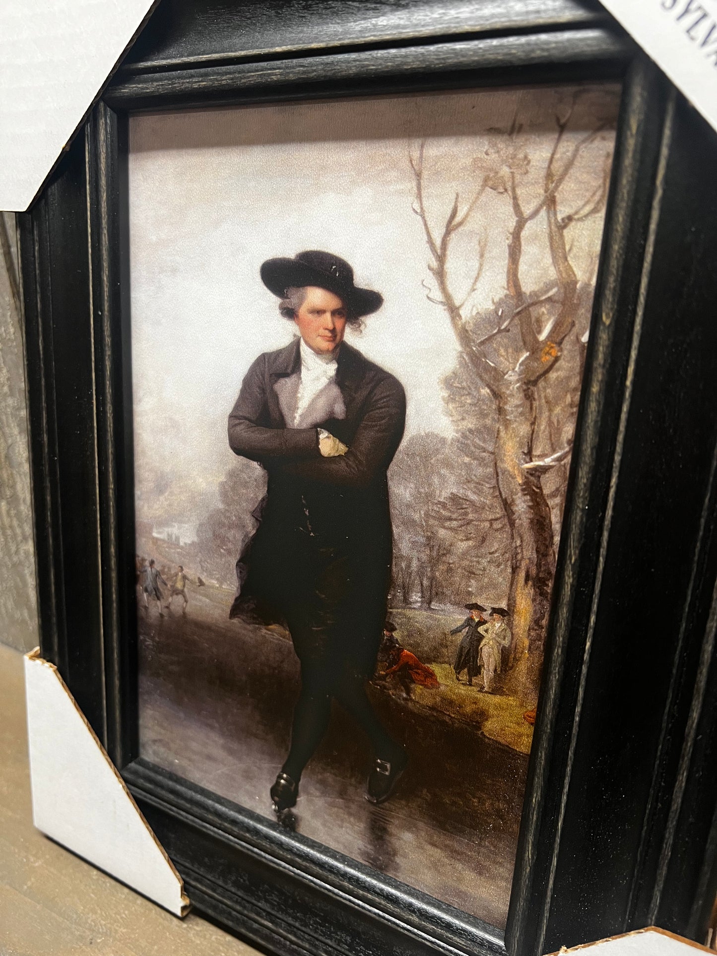 Framed Art, SKATER