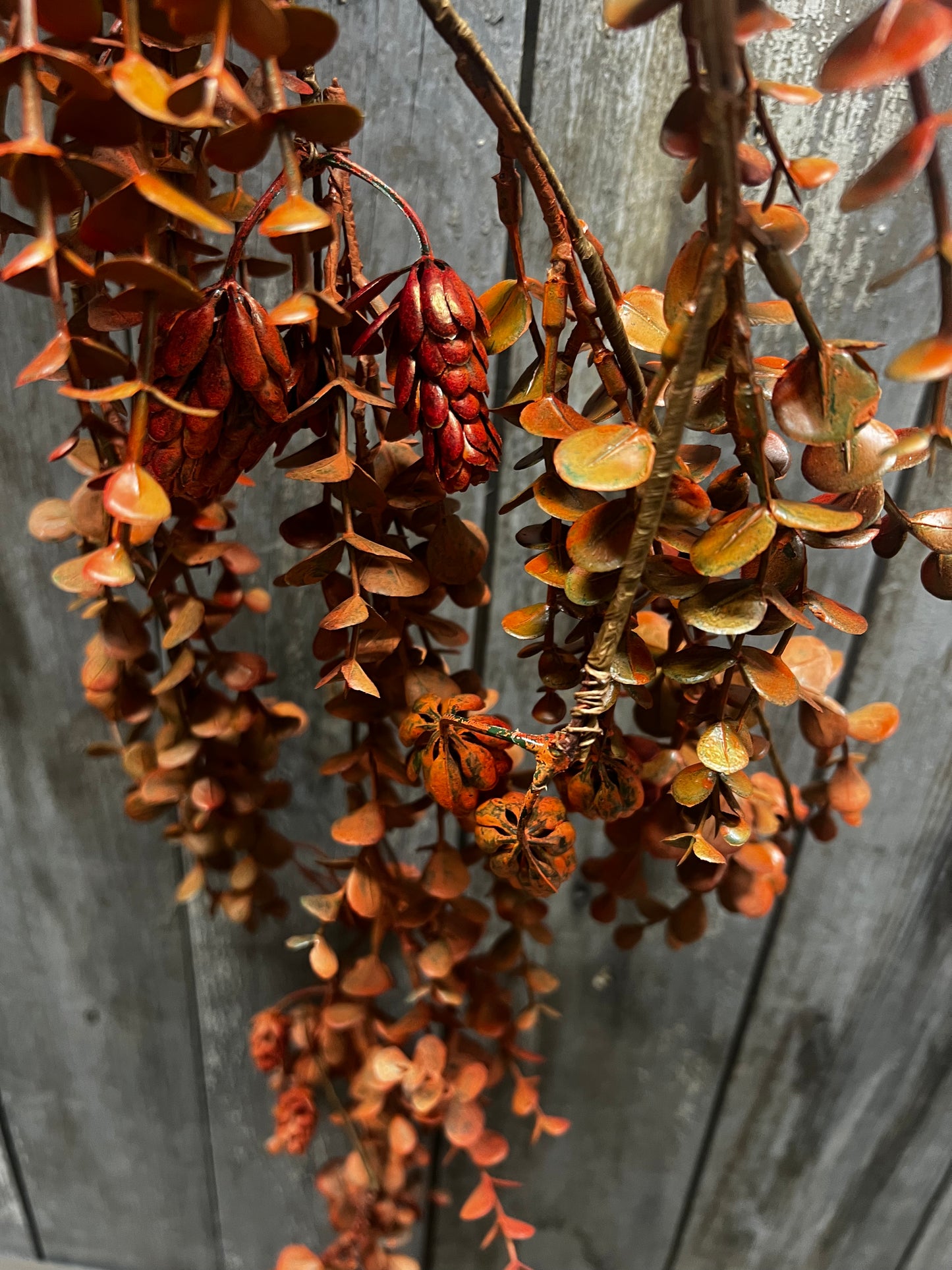 Hanging Bush, 32", EUCALYPTUS & HOPS
