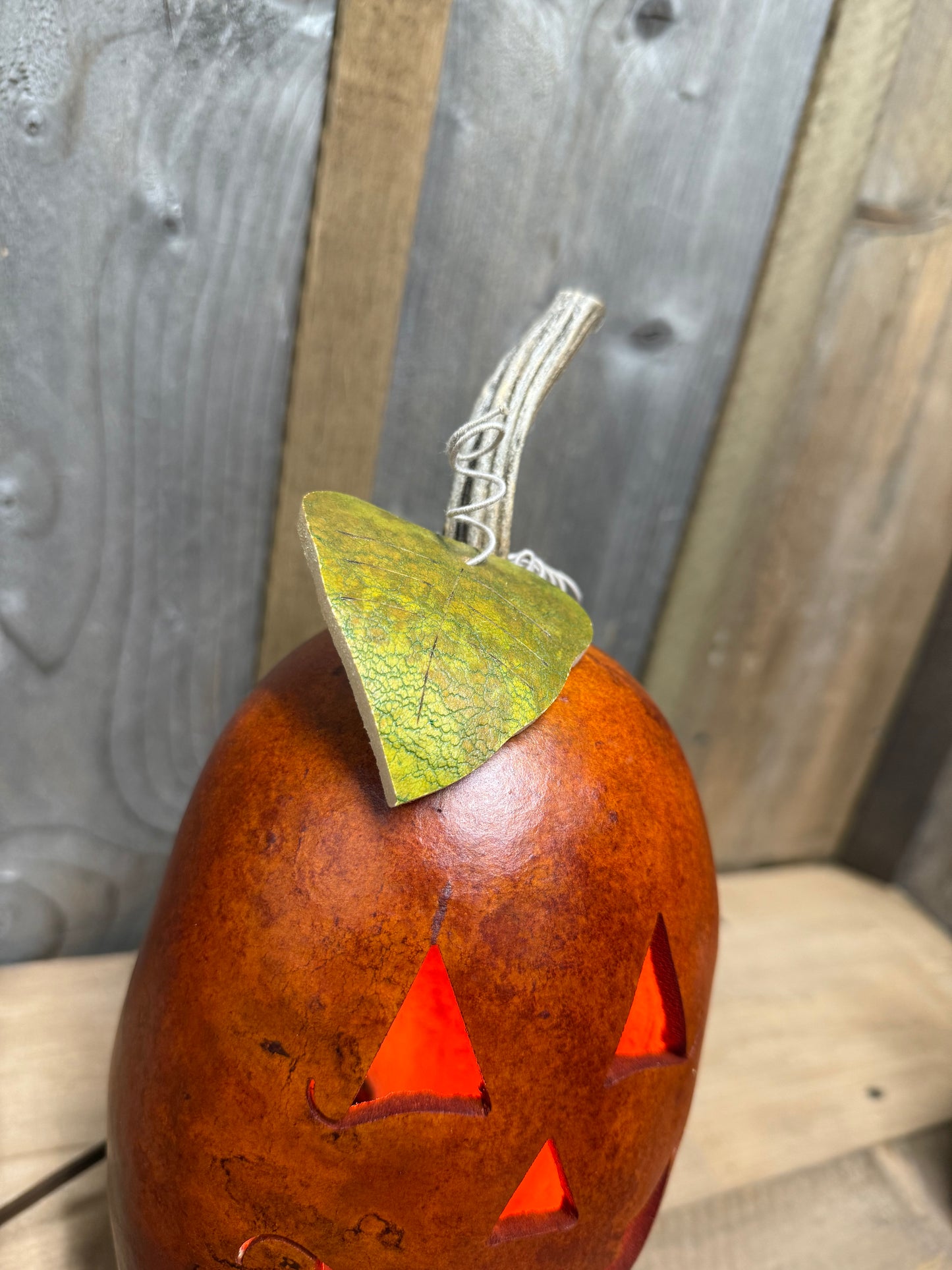 Gourd, Jack O'Lantern, ELECTRIC, LUCAS