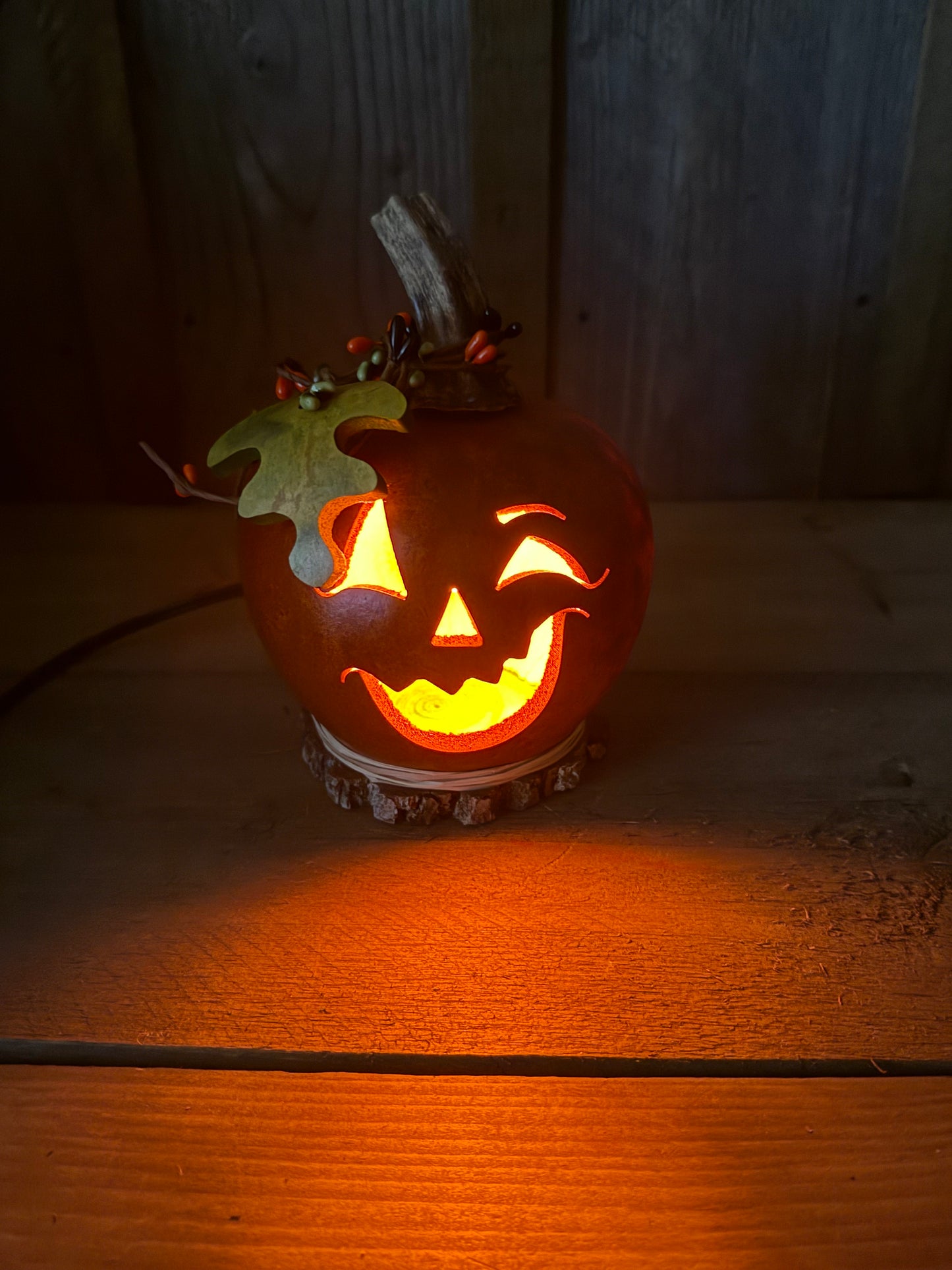 Gourd, Jack O' Lantern, ELECTRIC, FREDRICK