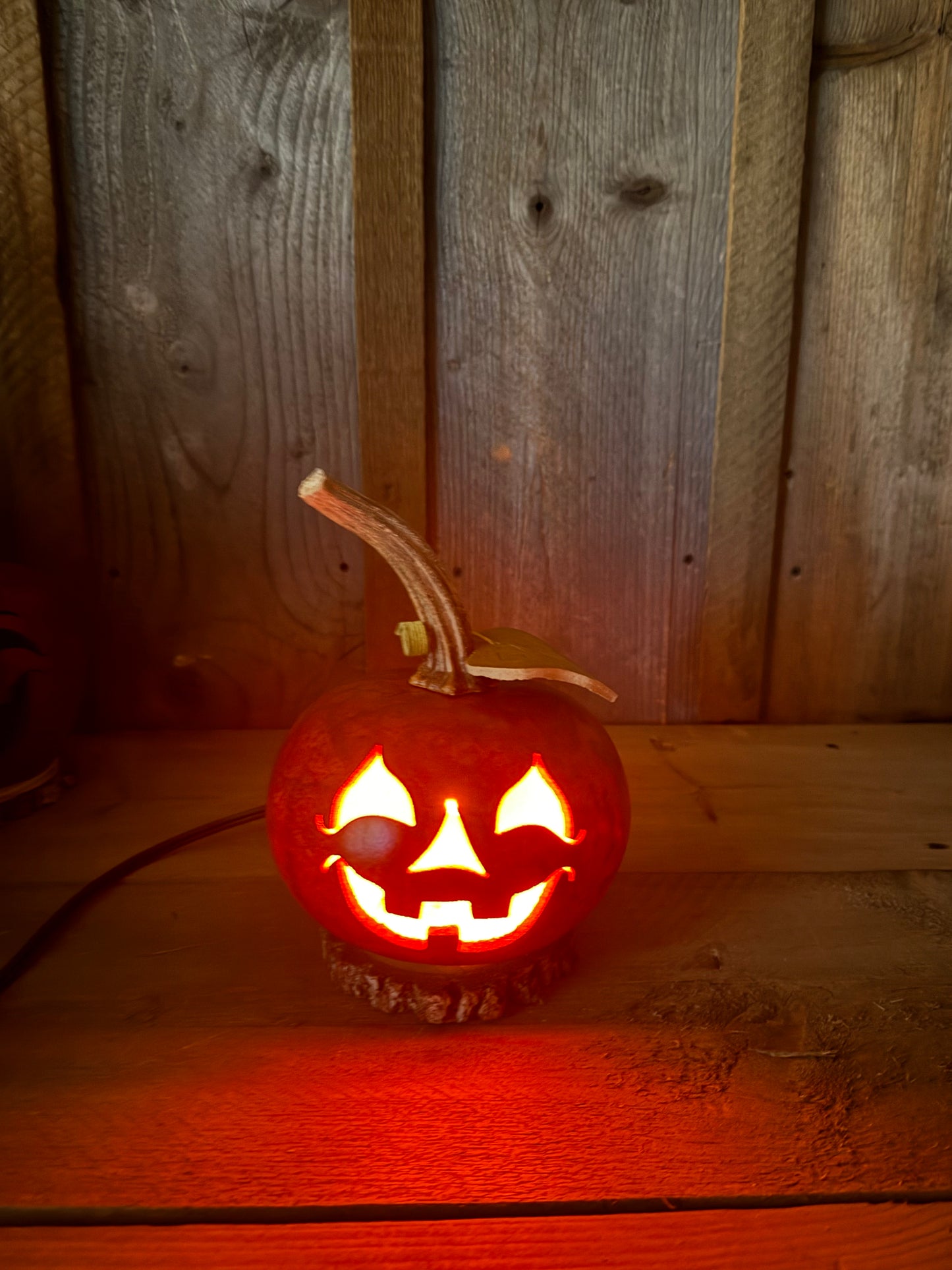 Gourd, Small Jack O'Lantern, ELECTRIC, LUCAS