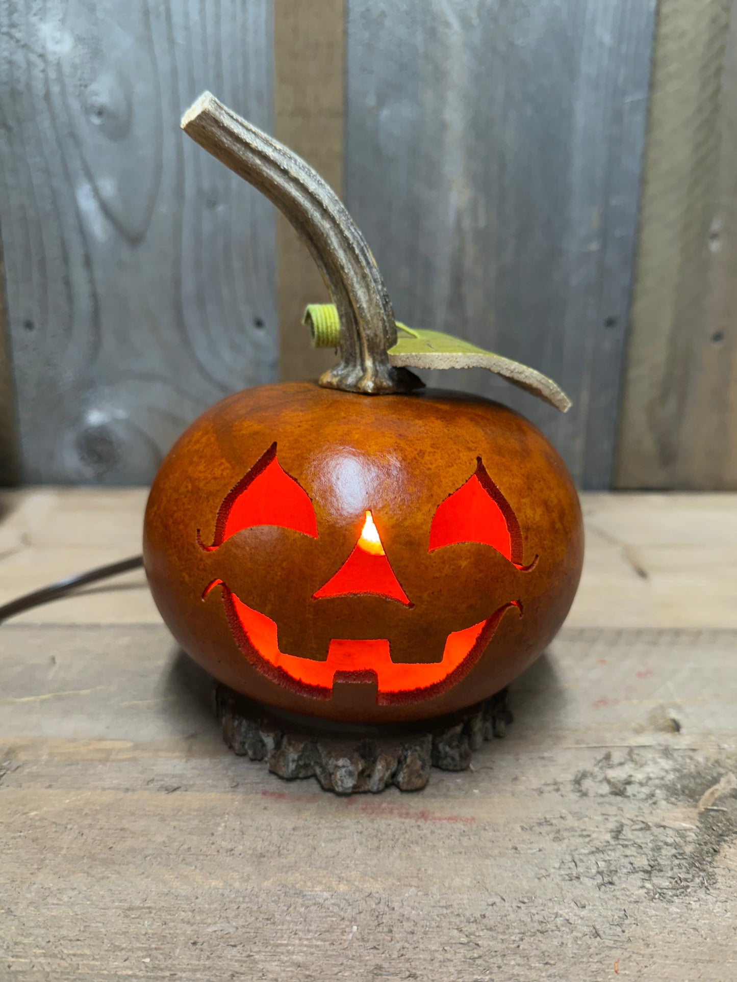 Gourd, Small Jack O'Lantern, ELECTRIC, LUCAS