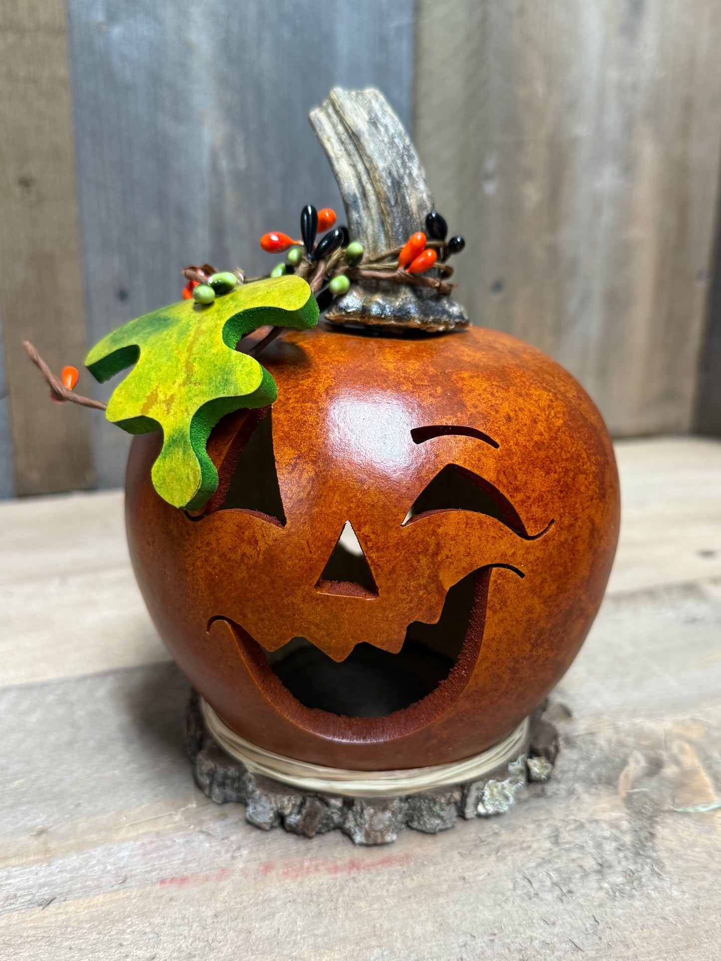 Gourd, Jack O' Lantern, ELECTRIC, FREDRICK