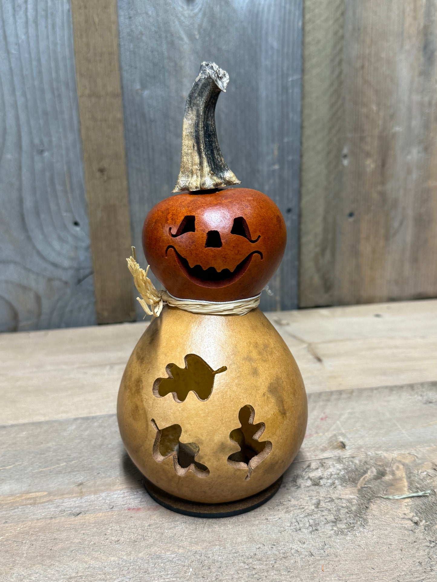 Gourd, Jack O' Lantern, DEXTER
