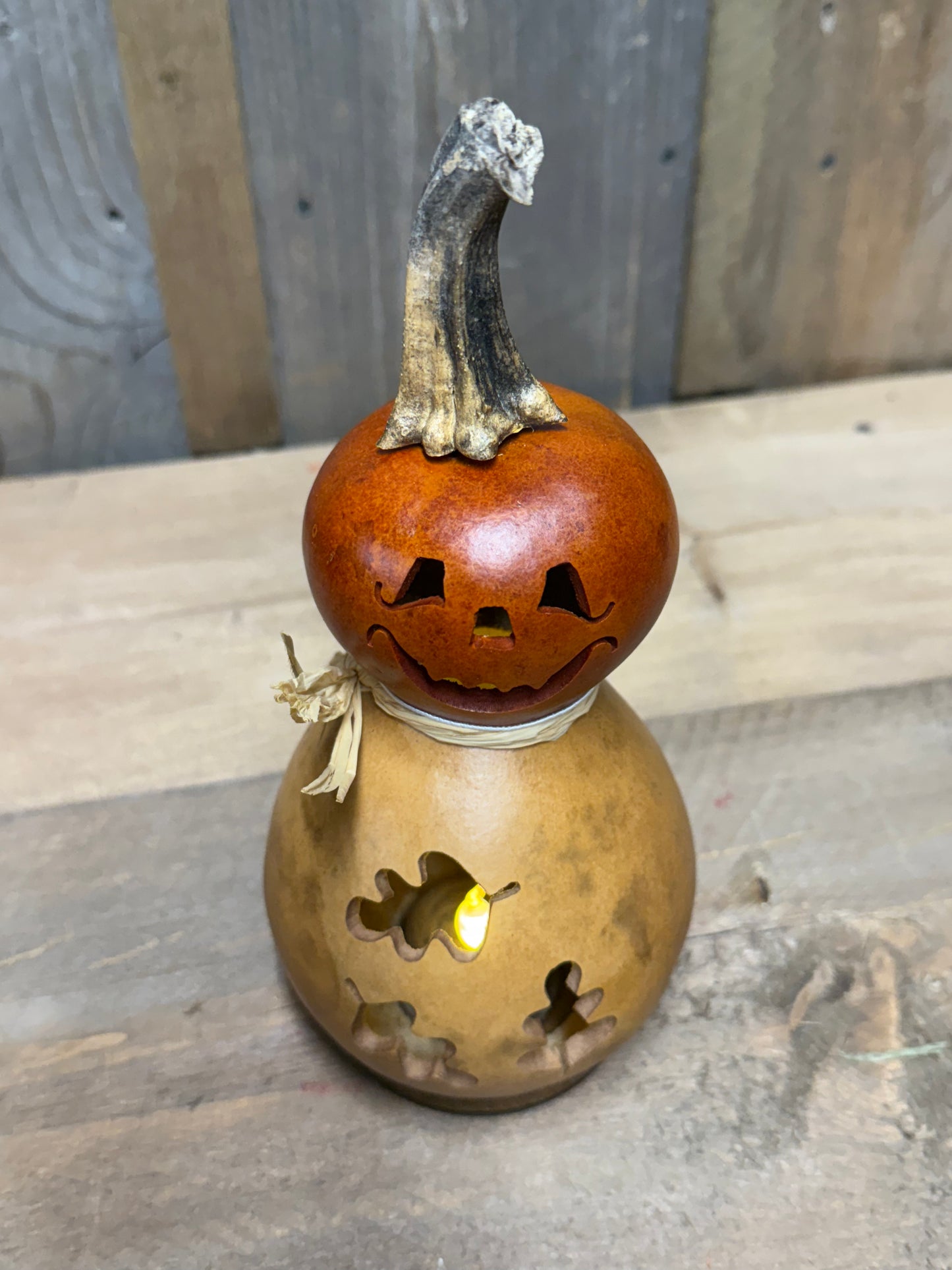 Gourd, Jack O' Lantern, DEXTER