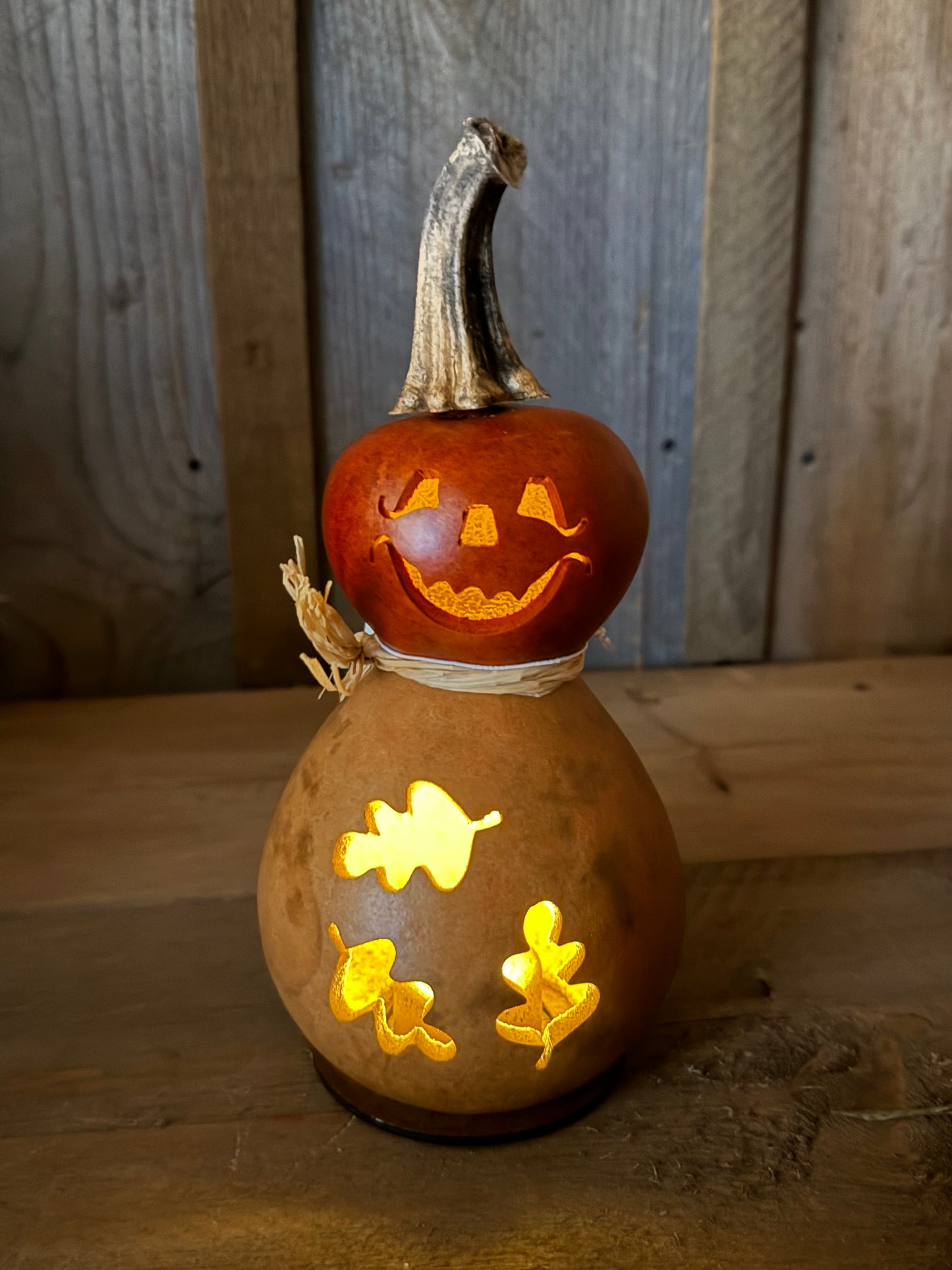 Gourd, Jack O' Lantern, DEXTER
