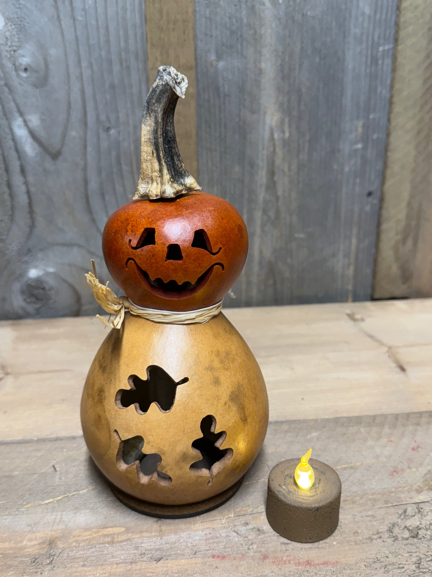 Gourd, Jack O' Lantern, DEXTER