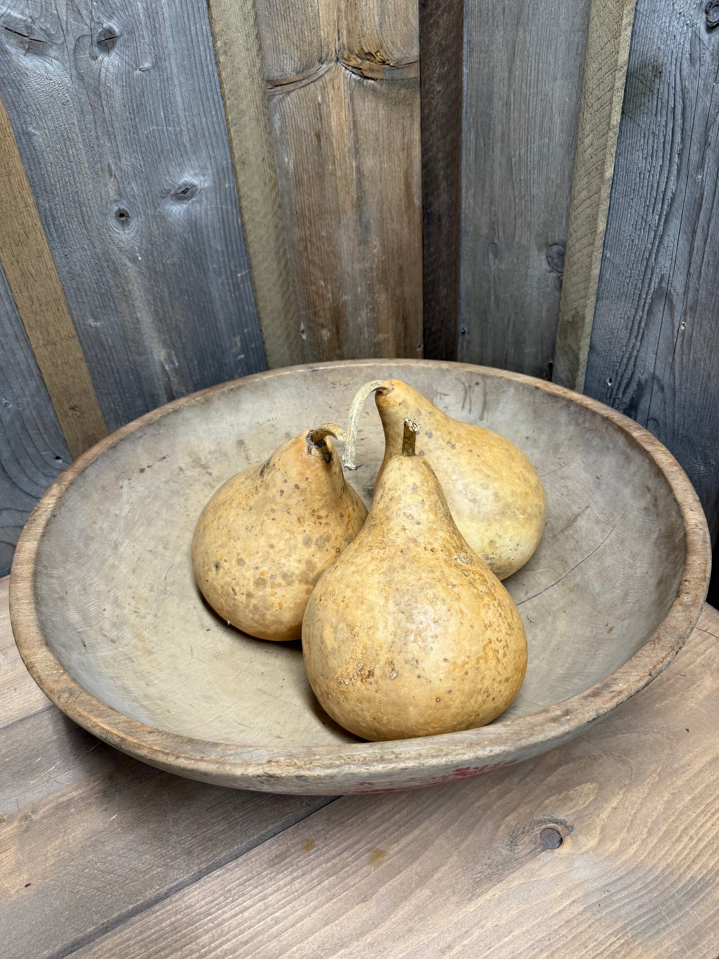 Gourd, PEAR