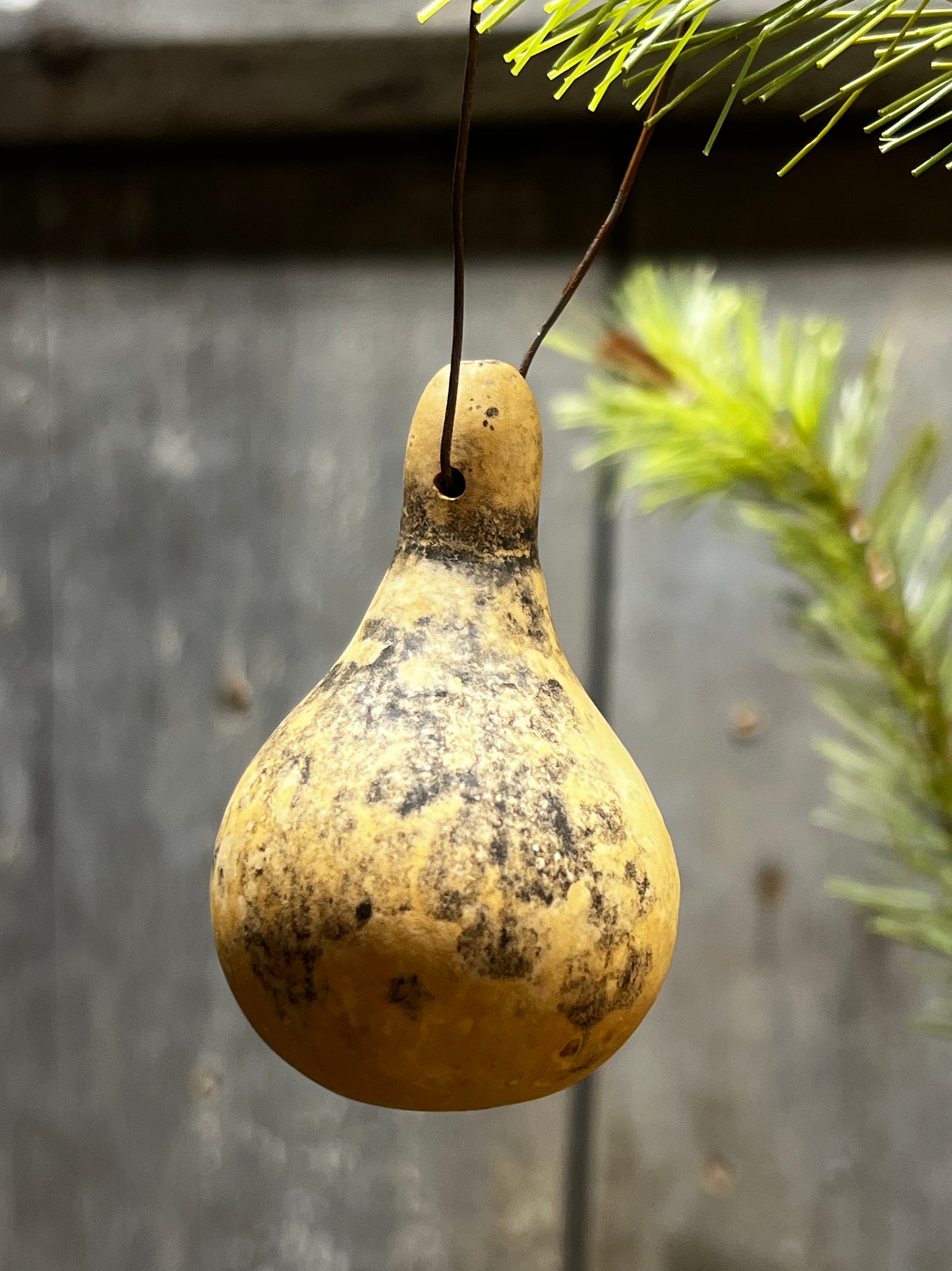 Gourd Ornament, Assorted Spinner, SMALL
