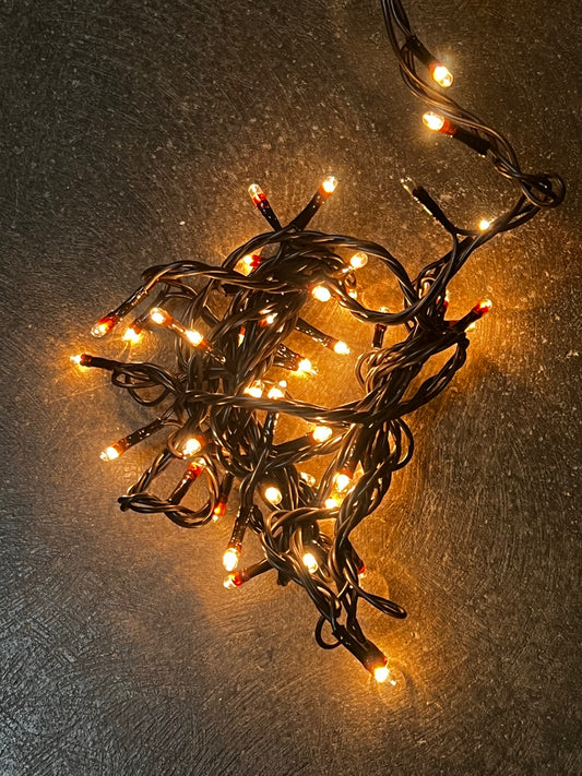 Teeny Bulbs, Brown Wire, 50 Count, WARM WHITE