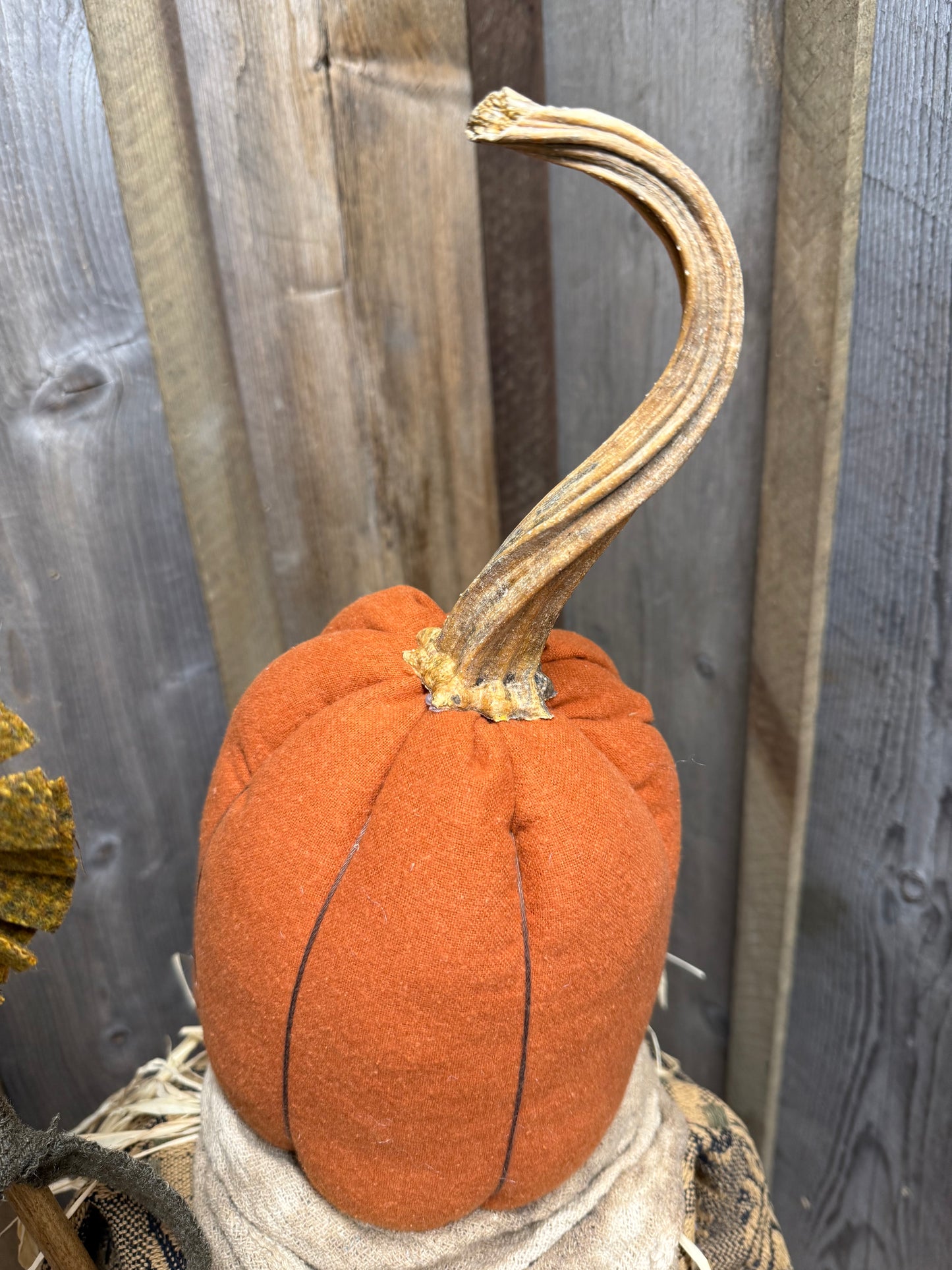 CLARENCE, Pumpkin Man, Assorted
