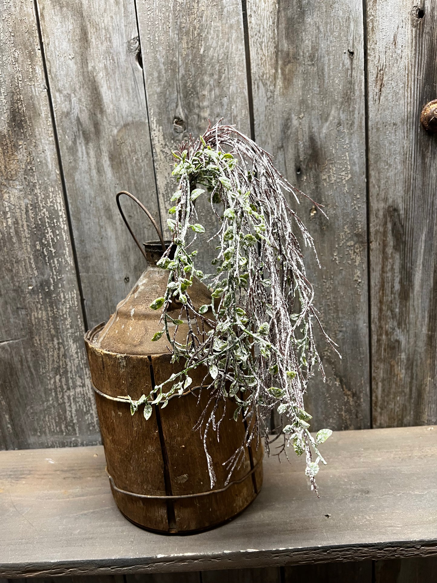 Hanging Vine, 24",WINTERSWEPT