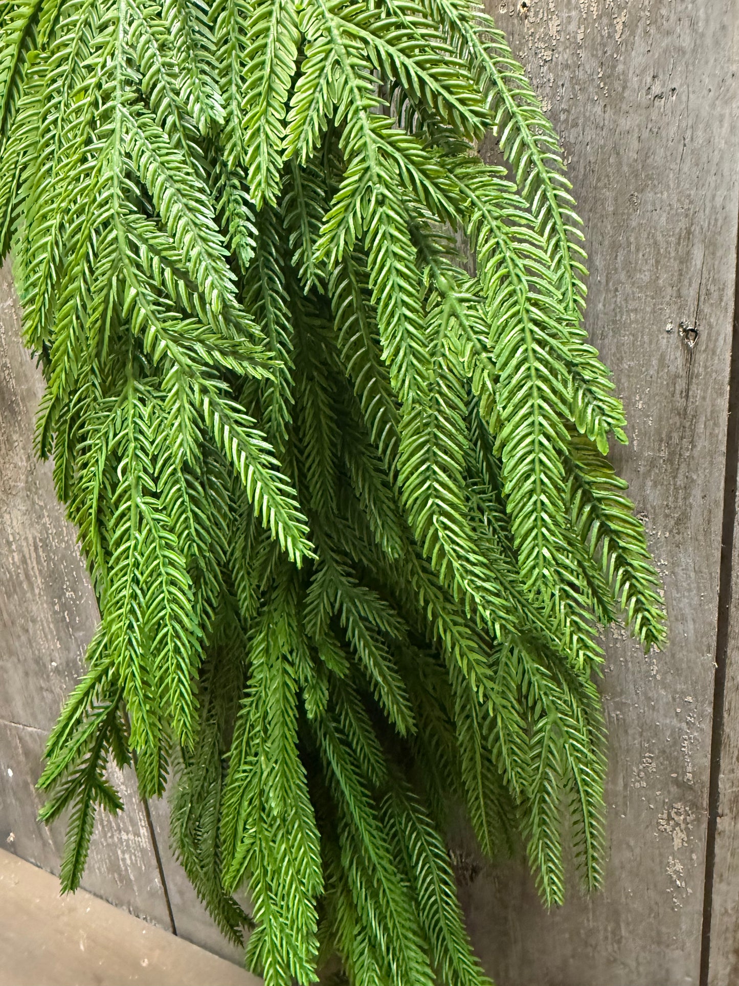 Teardrop Swag, 28", SOFT TOUCH NORFOLK PINE