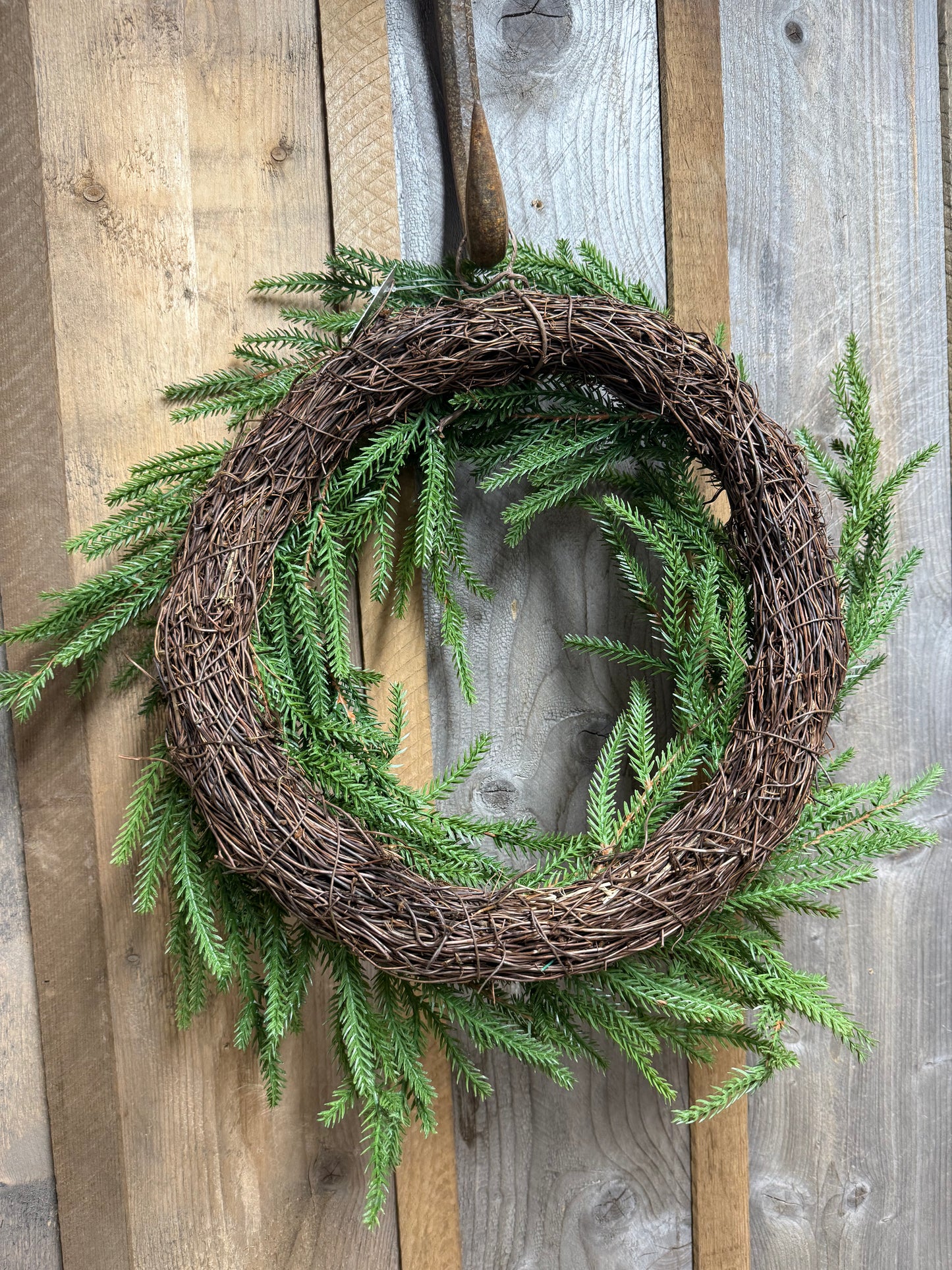 Wreath 20" Overall, SOFT TOUCH NORFOLK PINE