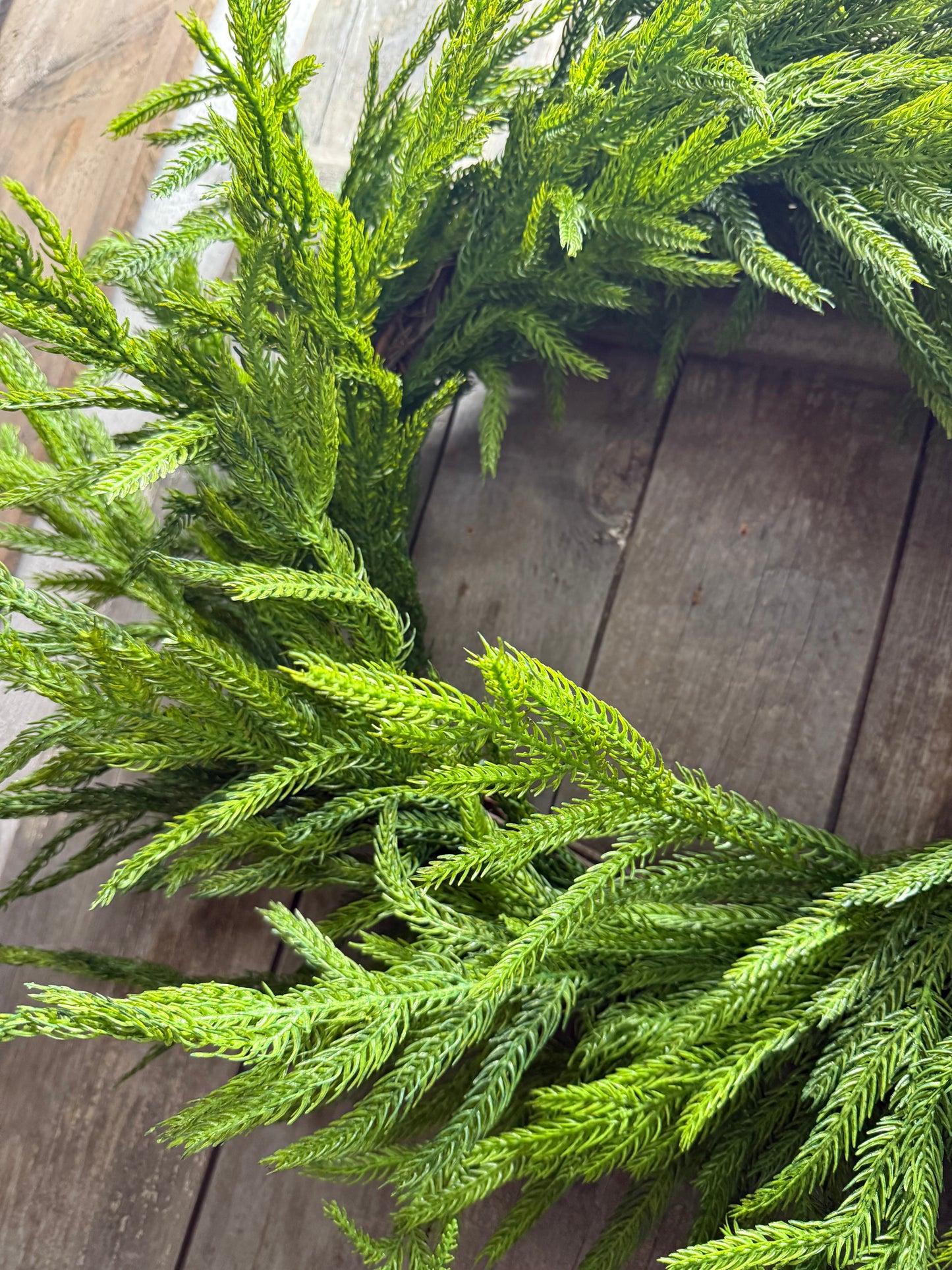 Wreath, 24” NATURAL TOUCH NORFOLK PINE